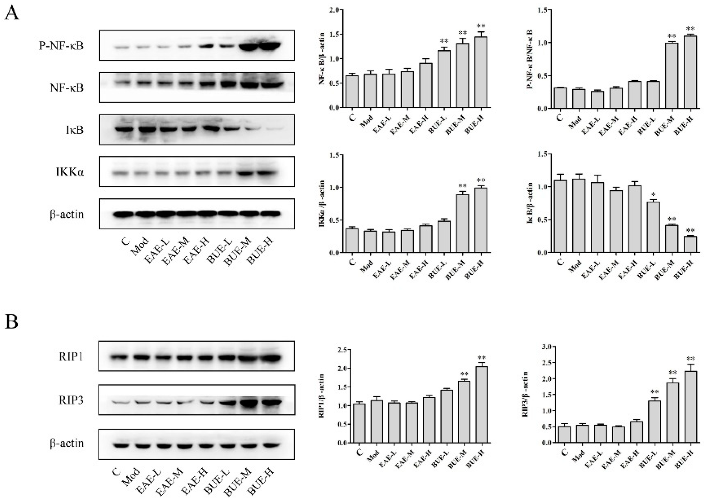 Toxins 11 00142 g004
