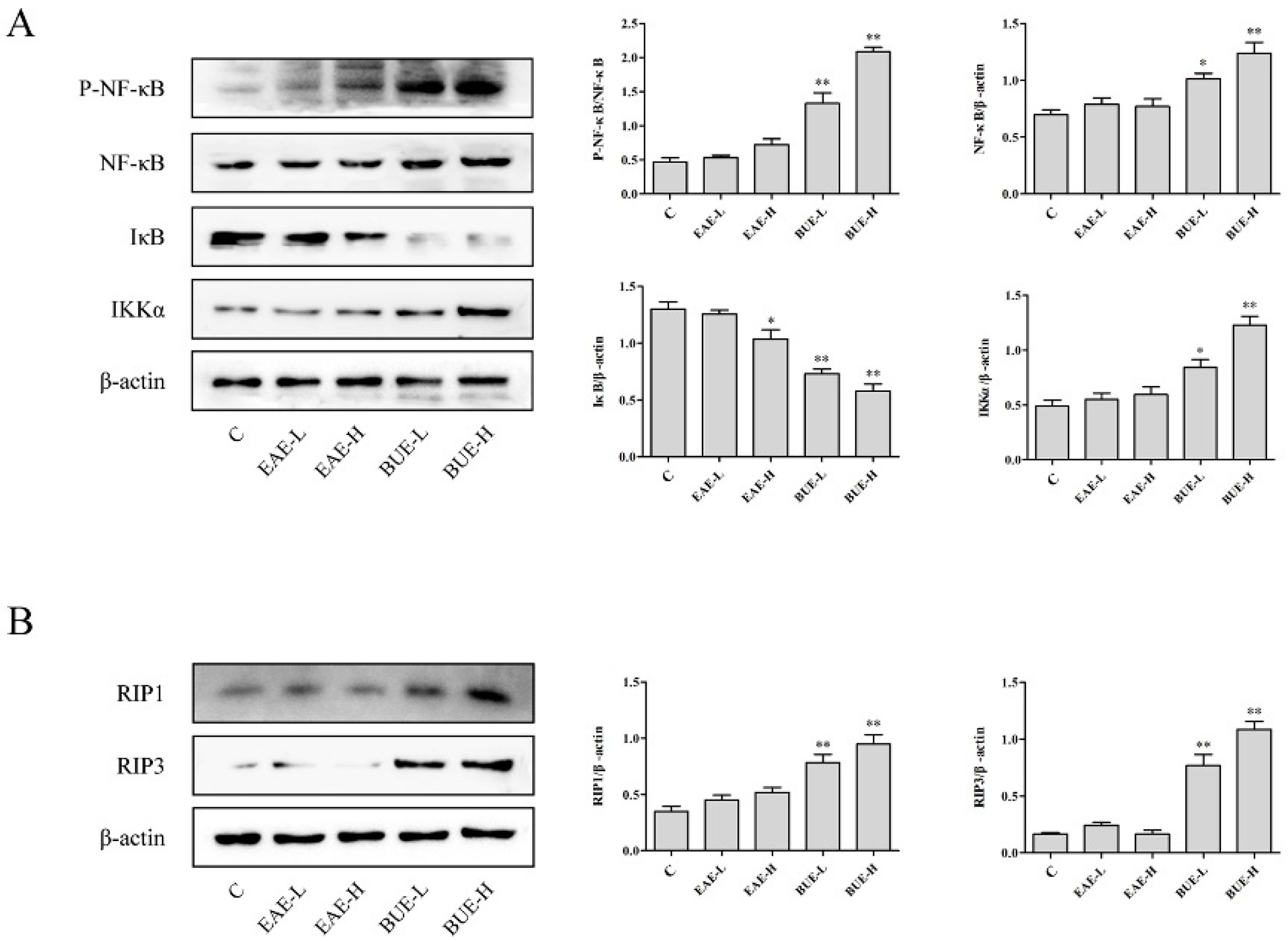 Toxins 11 00142 g008
