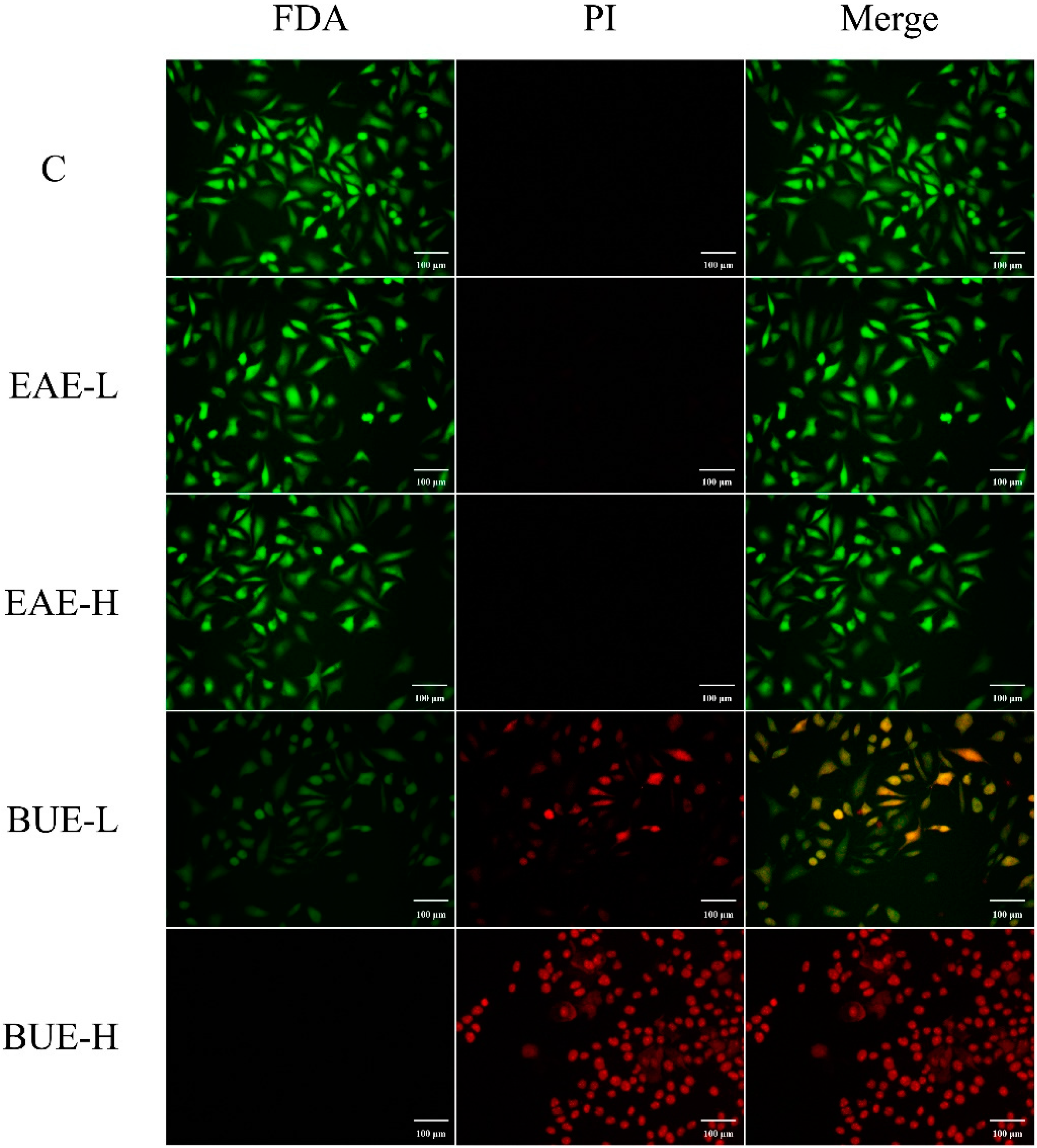 Toxins 11 00142 g010