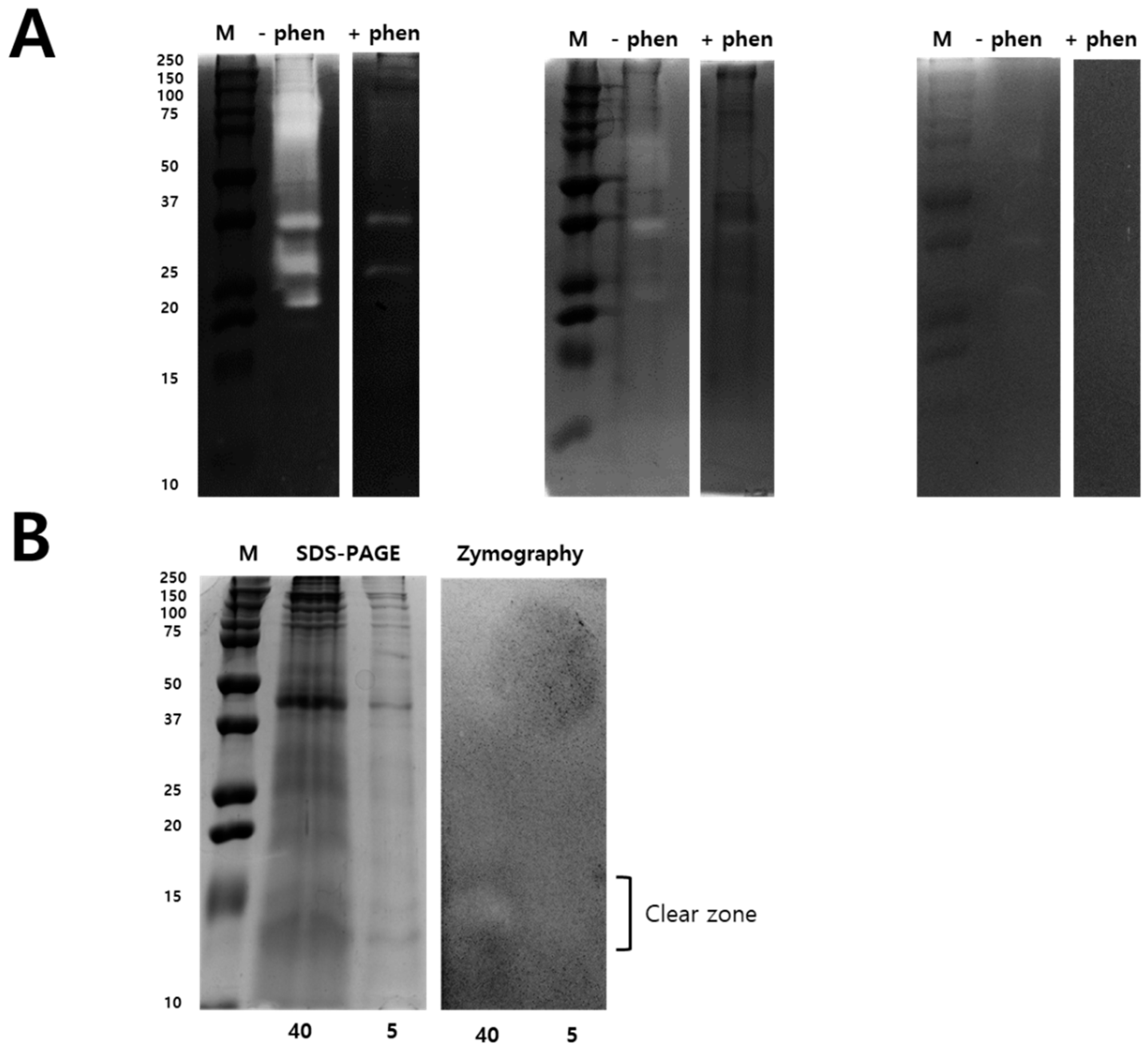 Toxins 11 00153 g003