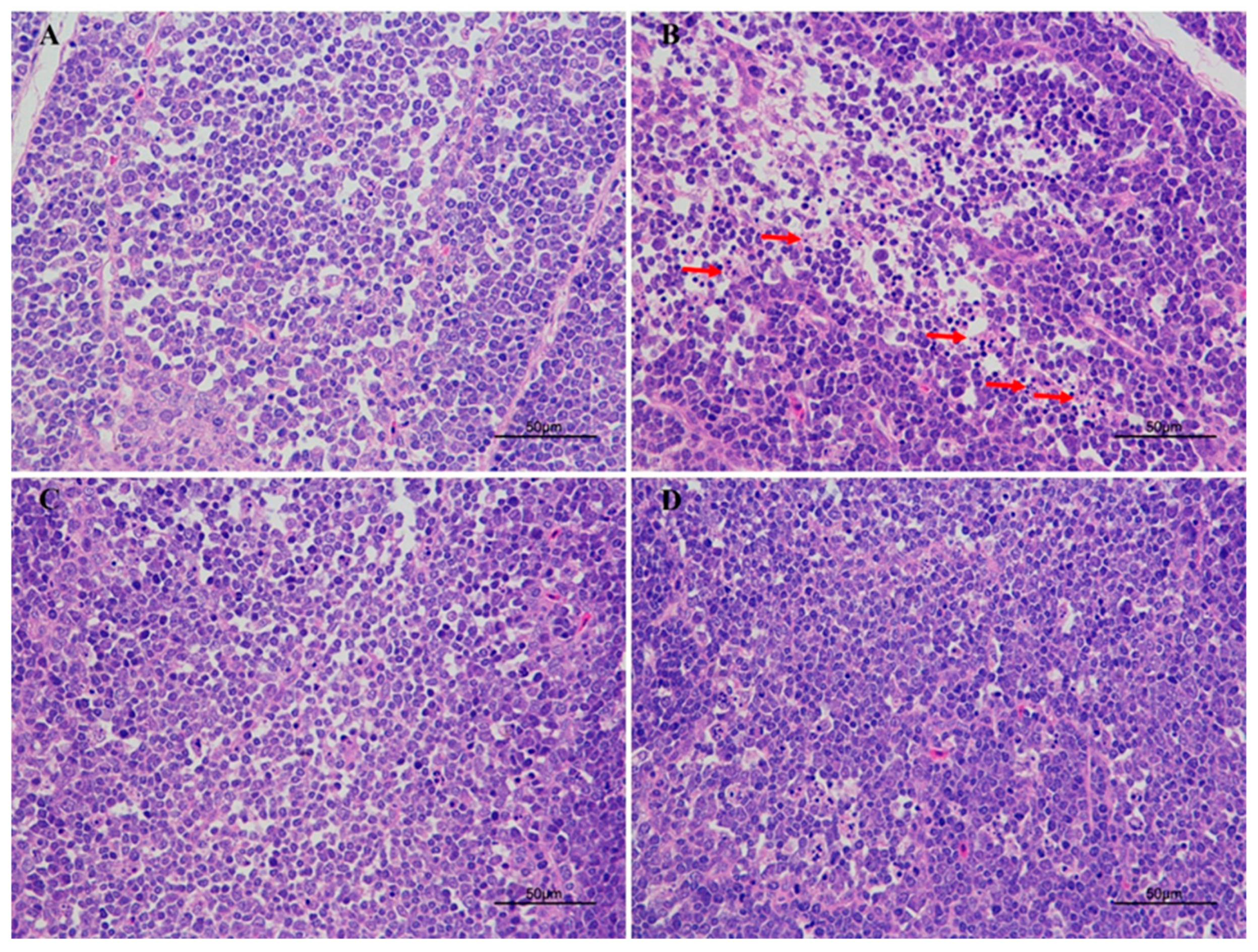 Toxins 11 00157 g002
