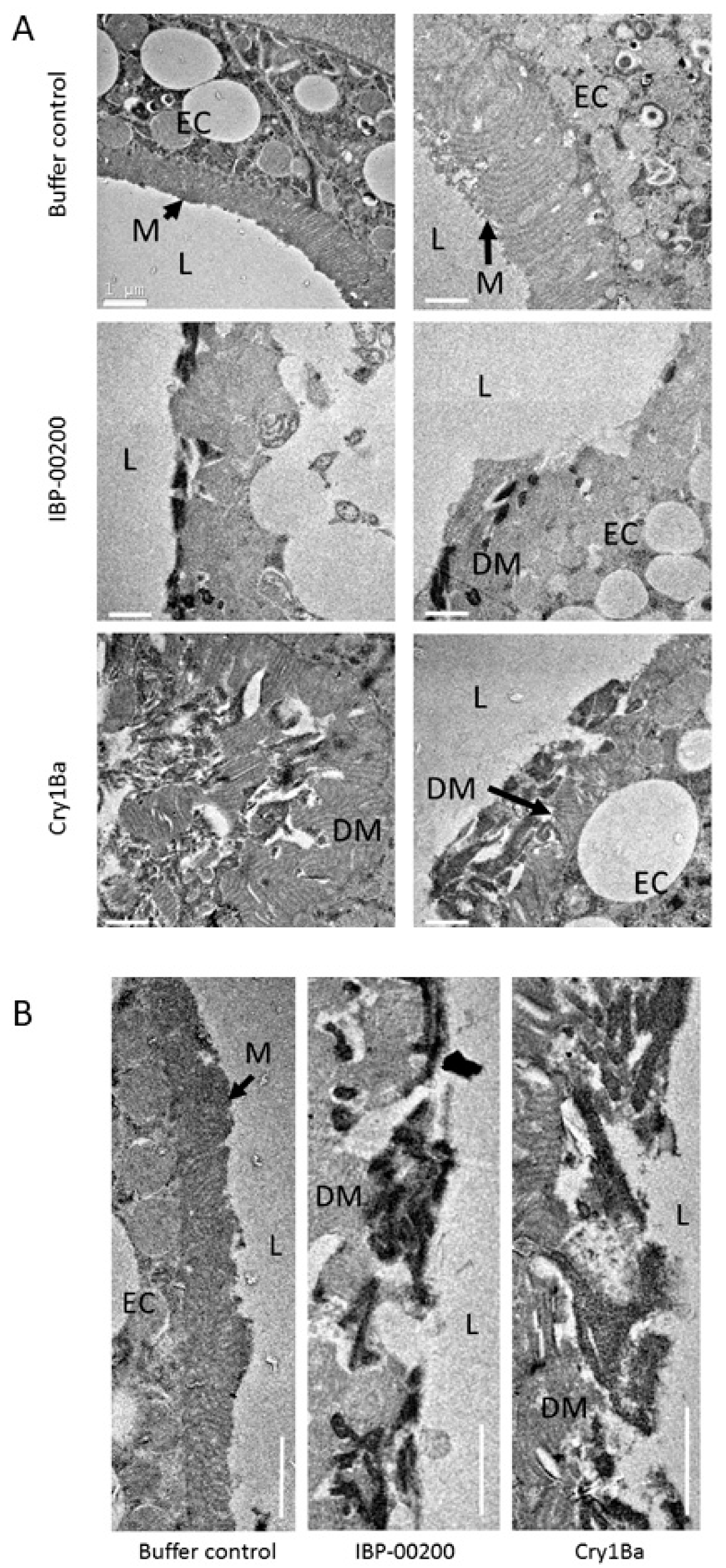 Toxins 11 00173 g003