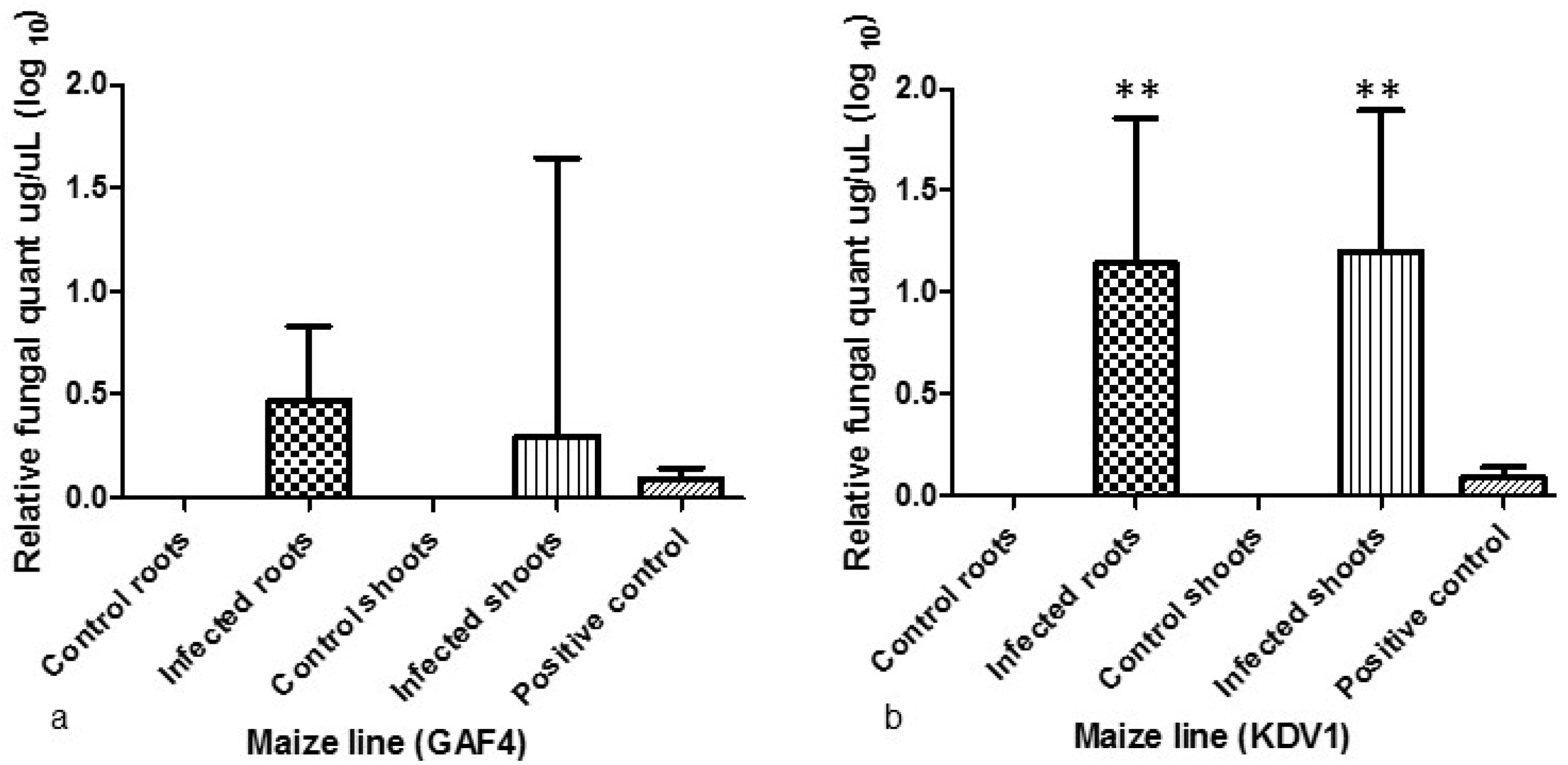 Toxins 11 00179 g004