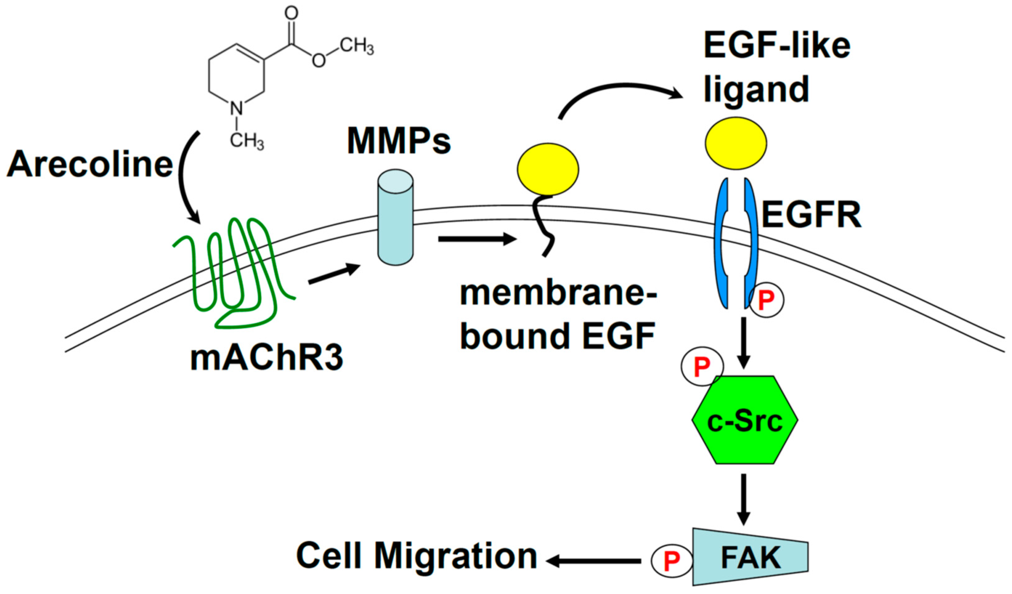 Toxins 11 00185 g006