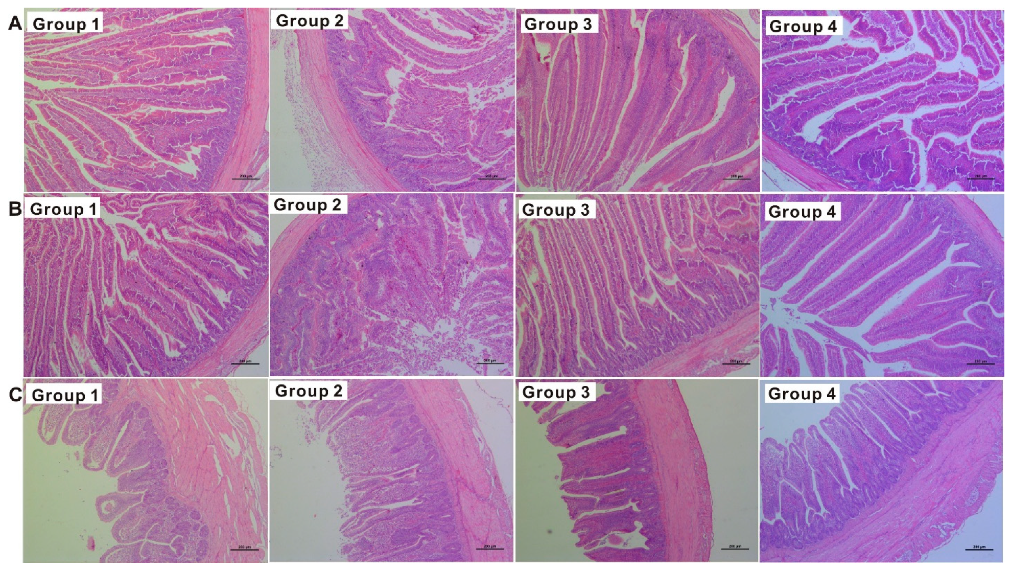 Toxins 11 00199 g001