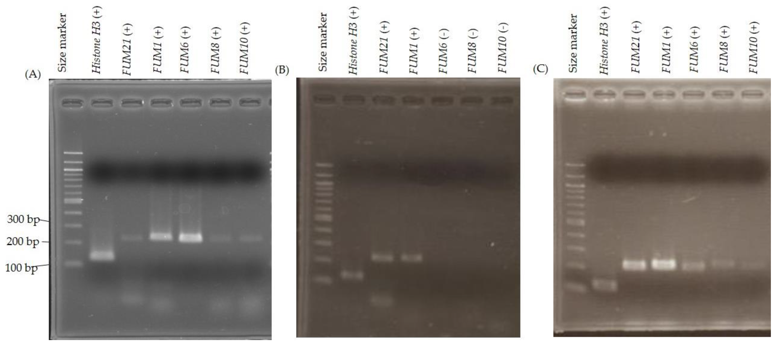 Toxins 11 00200 g001