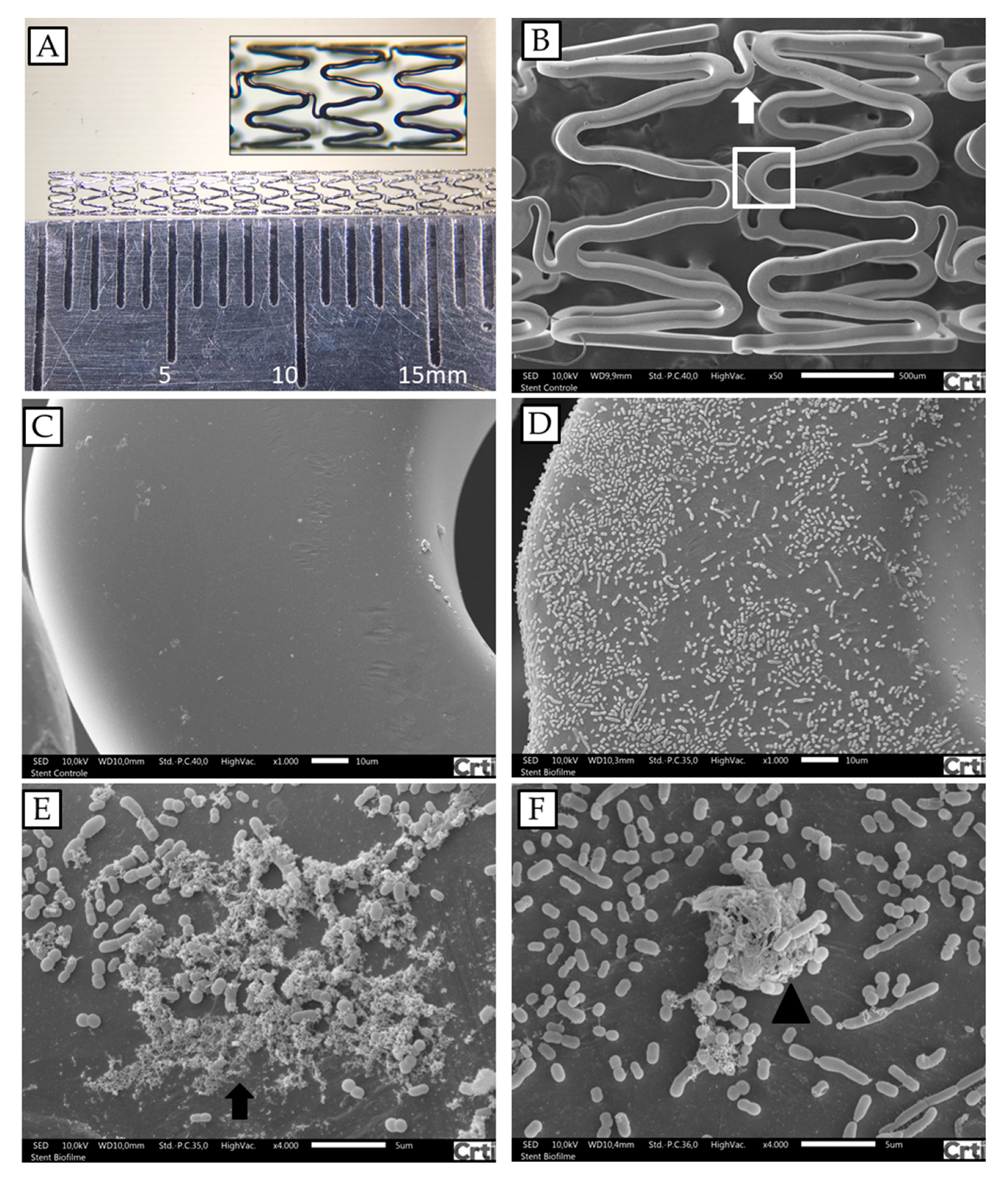 Toxins 11 00216 g002