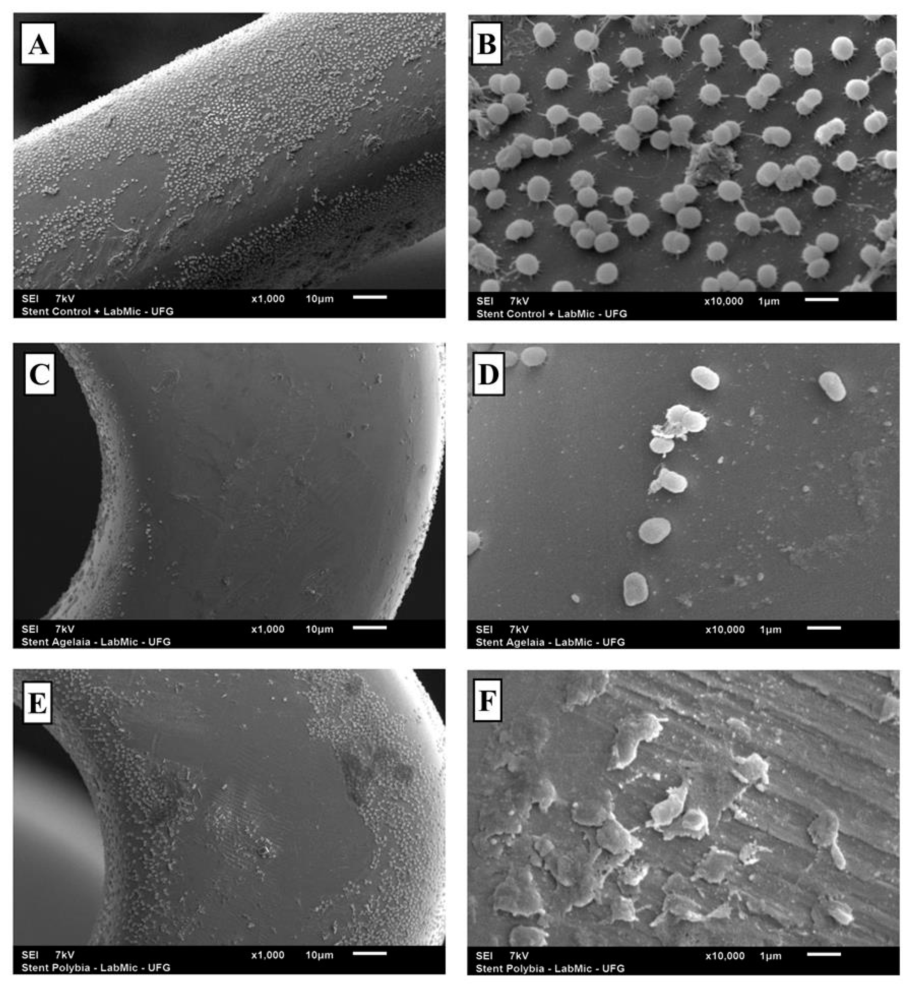 Toxins 11 00216 g006