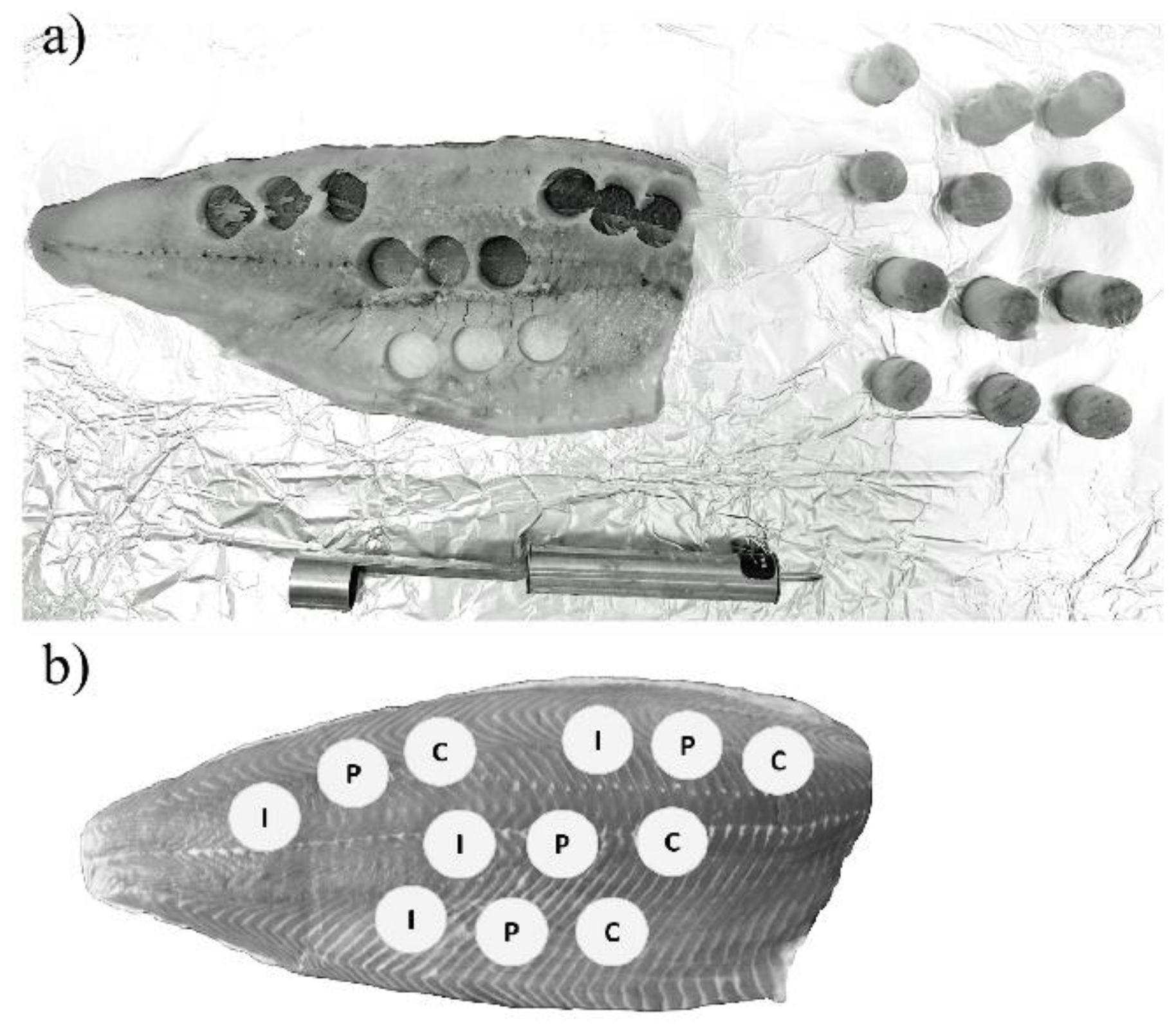 Toxins 11 00222 g002