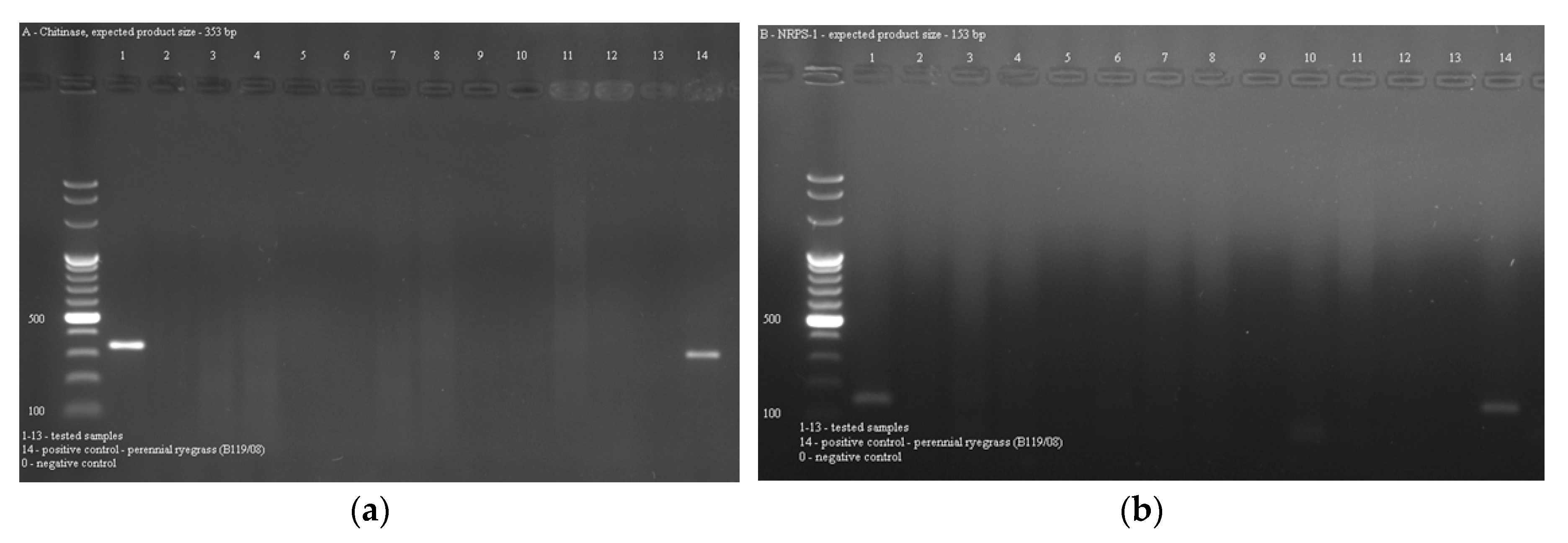 Toxins 11 00228 g003