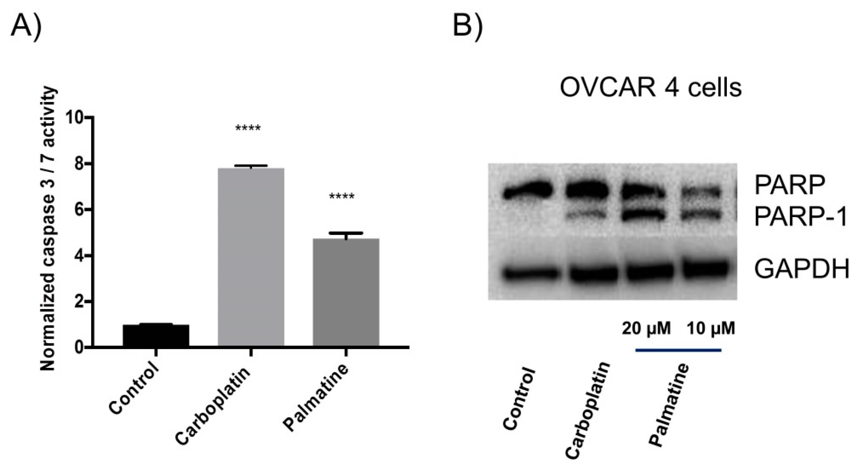 Toxins 11 00237 g002