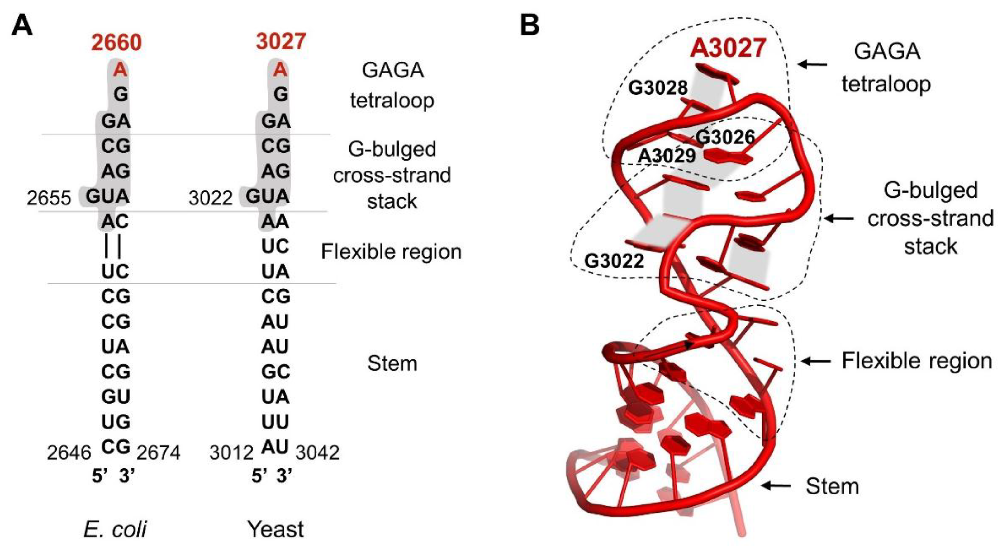 Toxins 11 00241 g002 Toxins 11 00241 g002