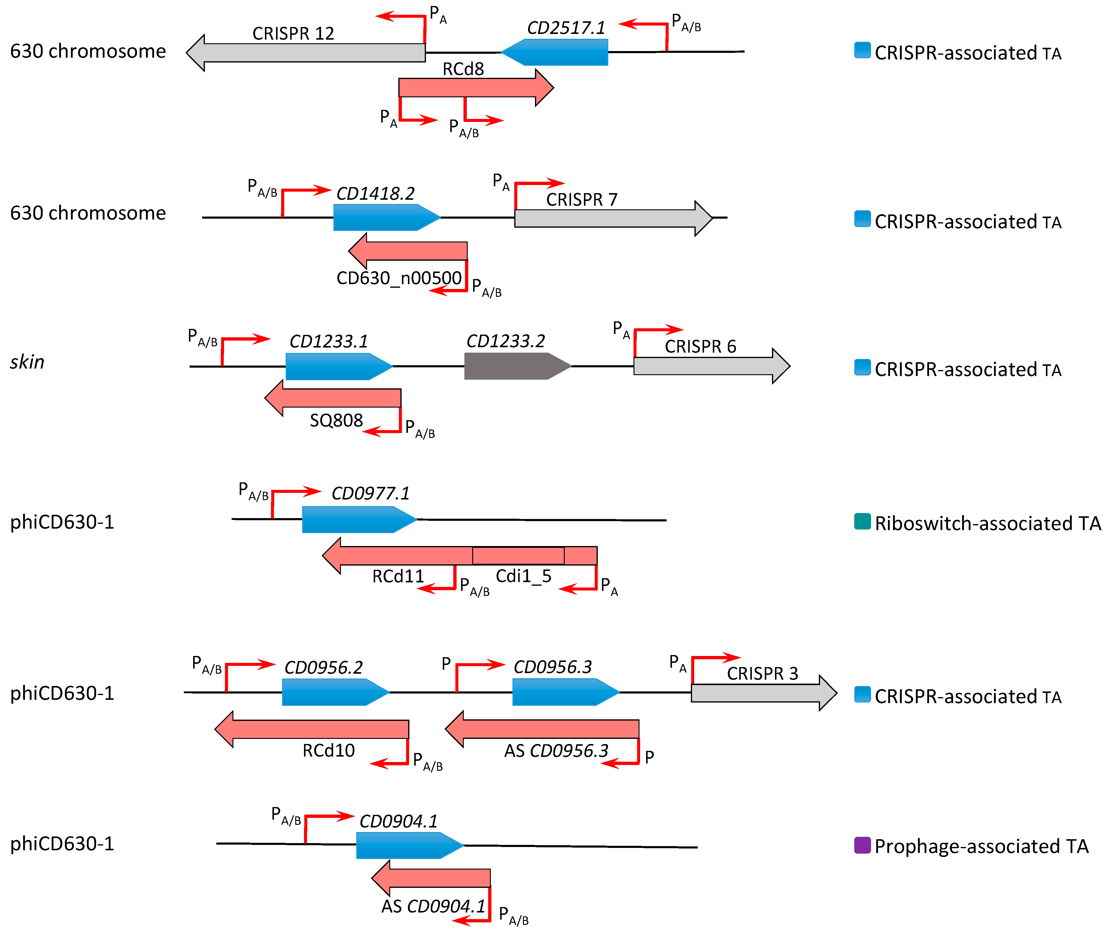 Toxins 11 00253 g003 Toxins 11 00253 g003