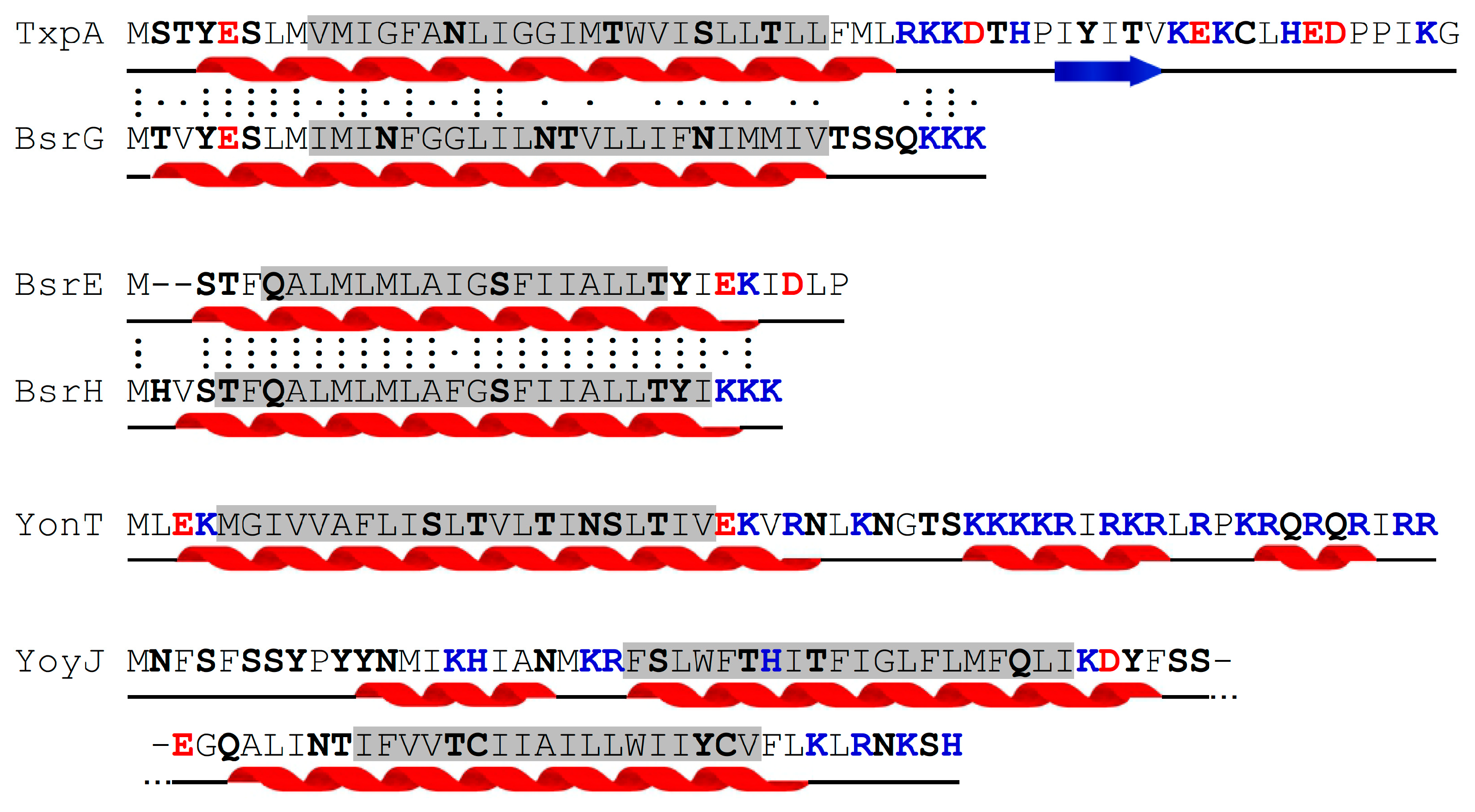 Toxins 11 00262 g003