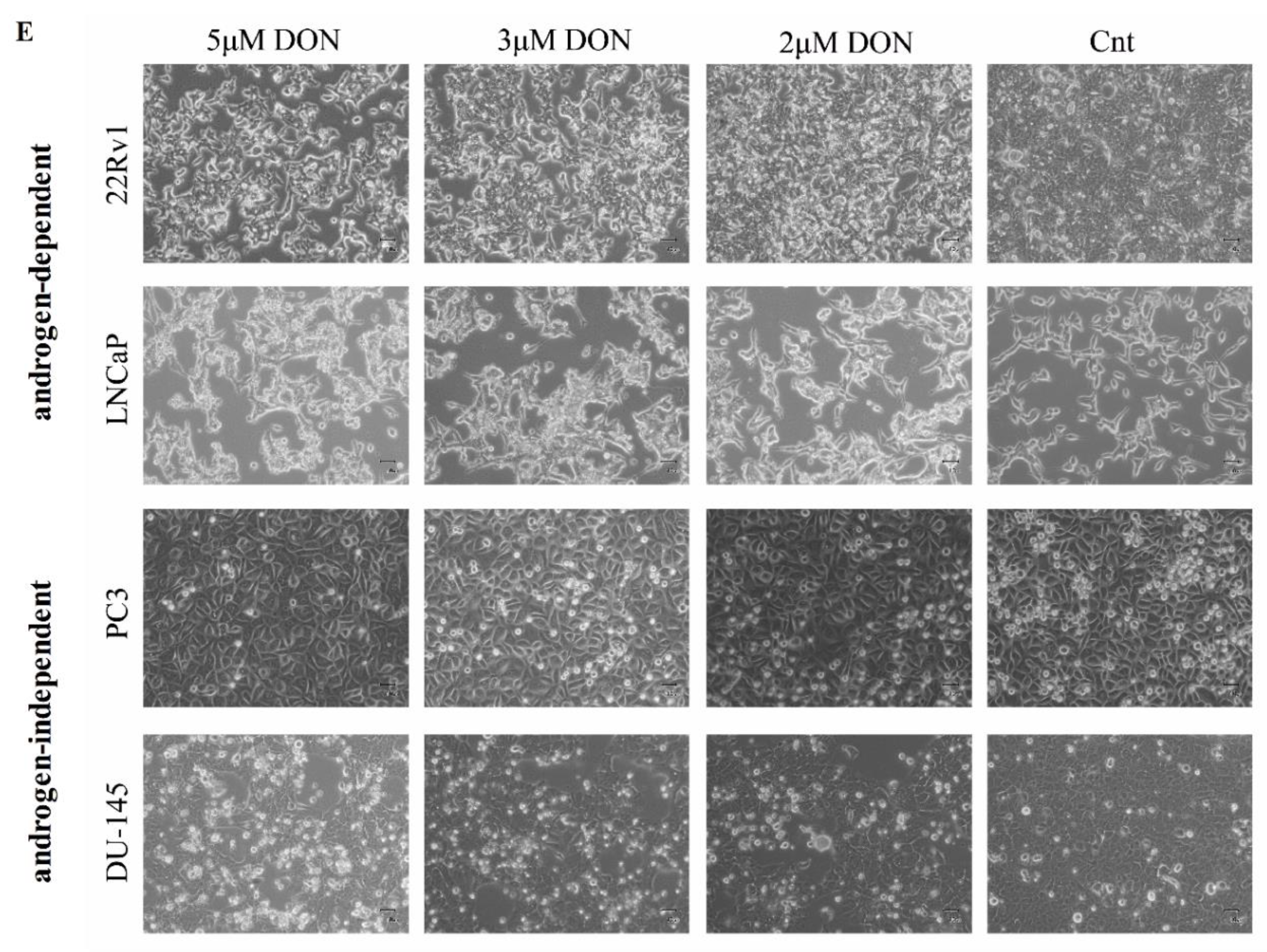 Toxins 11 00265 g001b