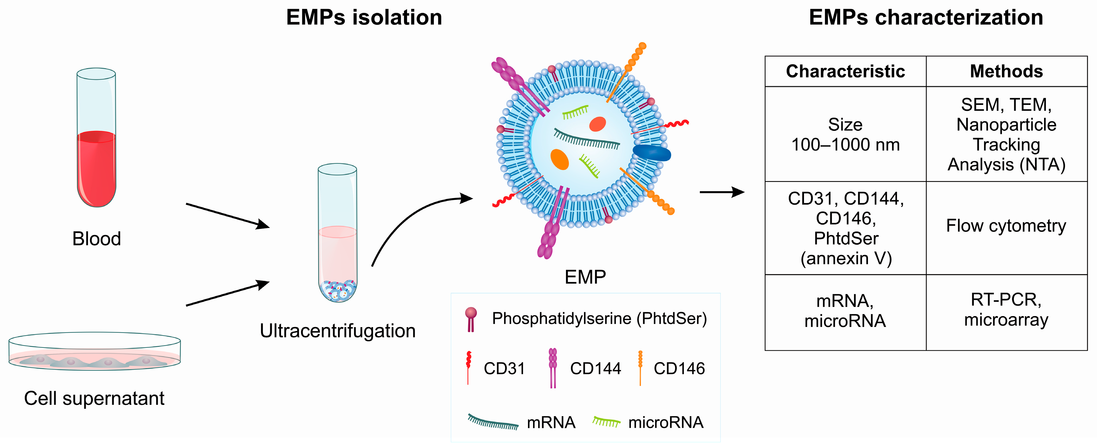 Toxins 11 00267 g002