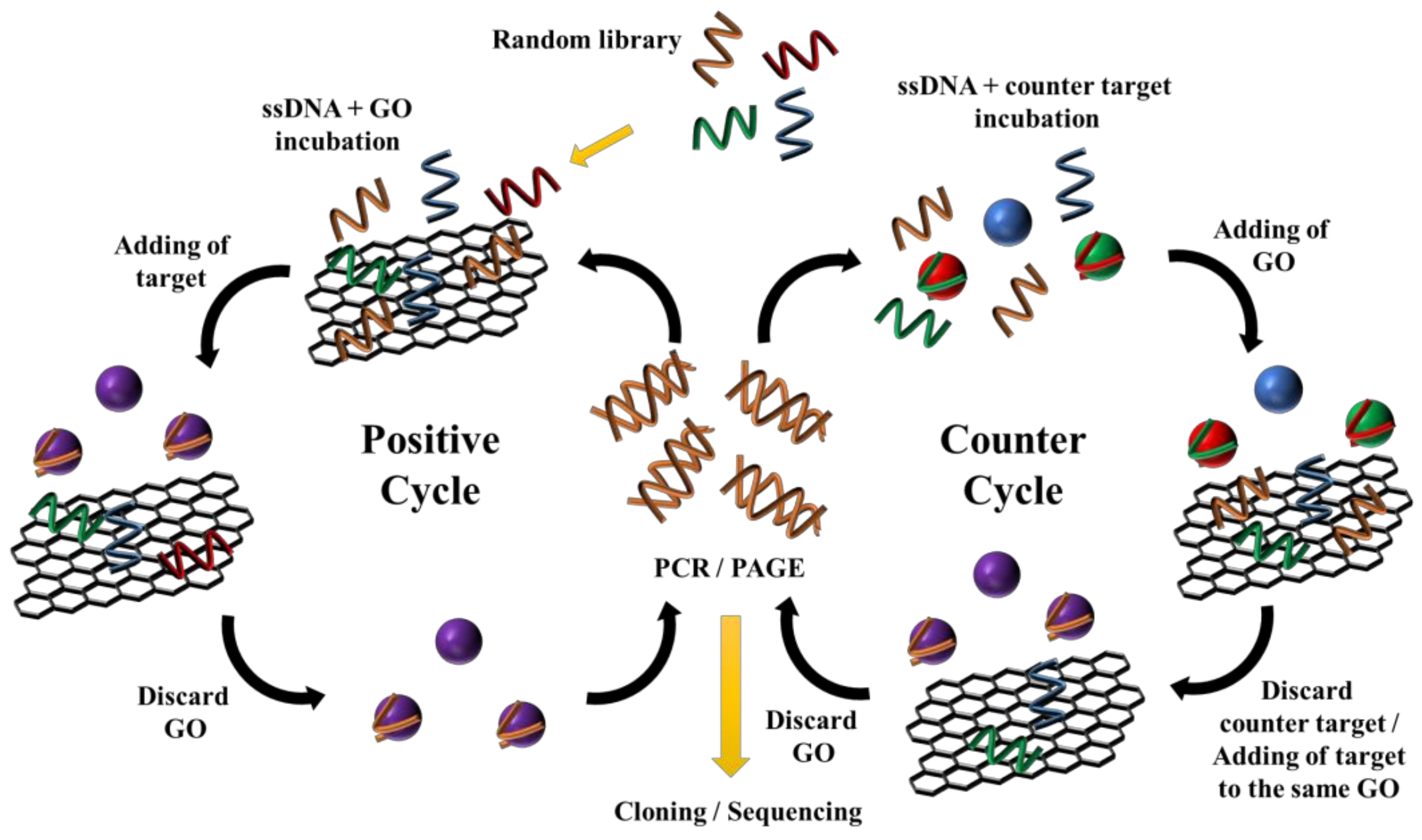 Toxins 11 00274 sch001