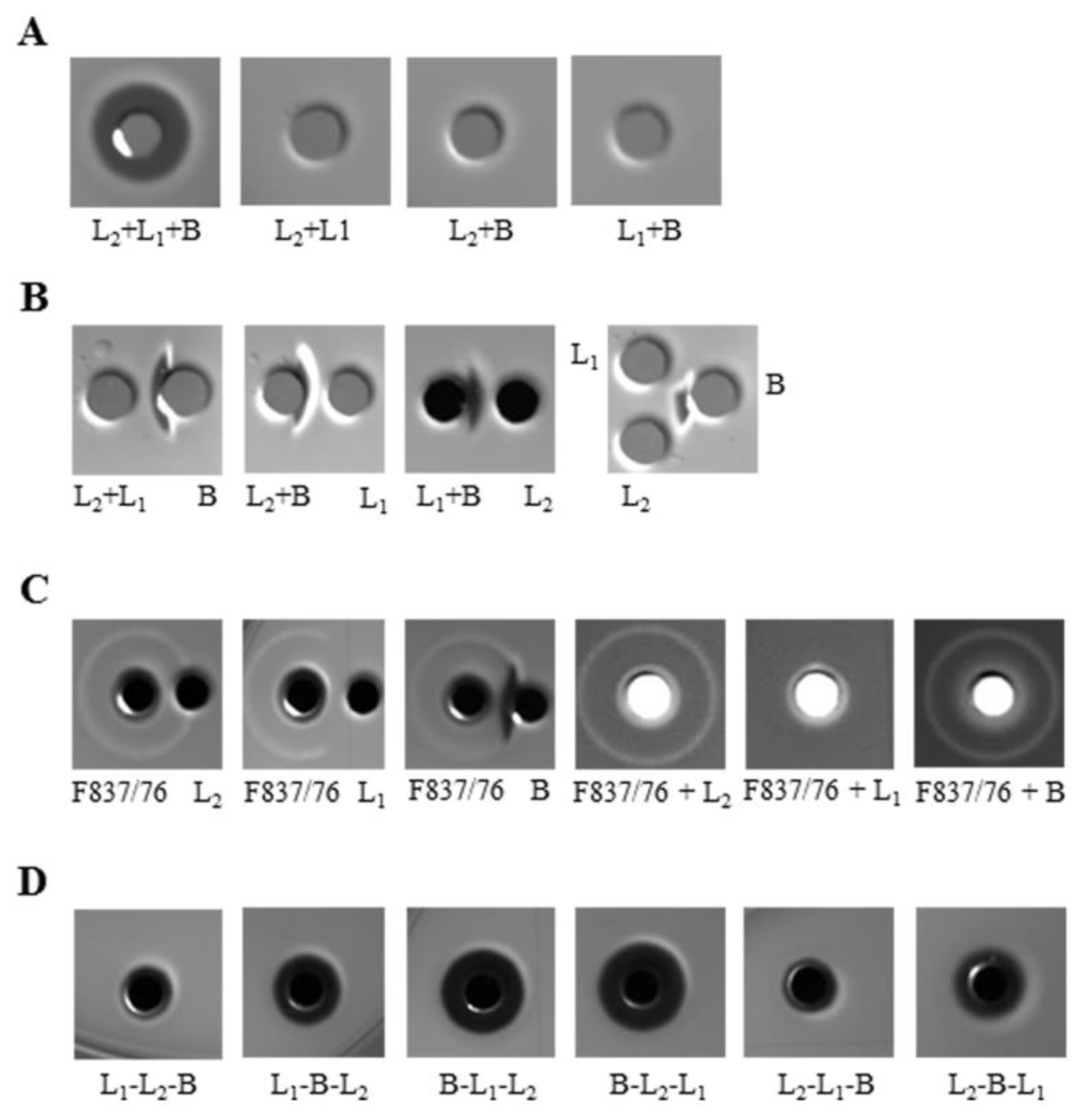 Toxins 11 00281 g007 Toxins 11 00281 g007