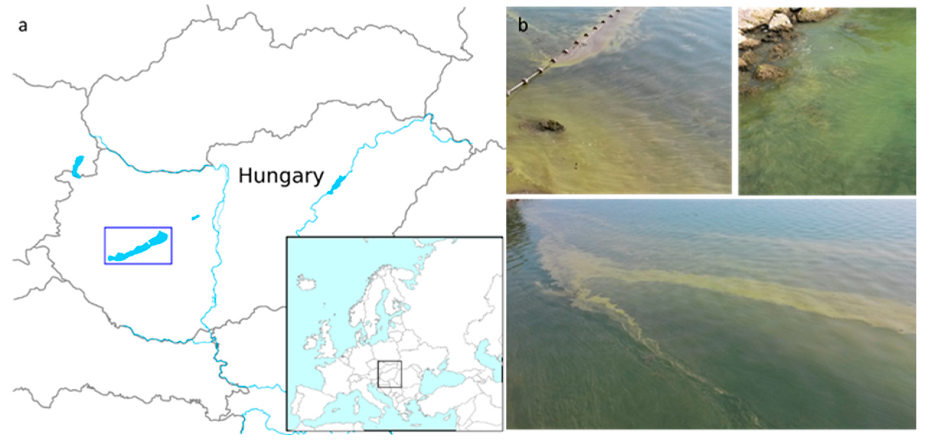 Toxins 11 00288 g001