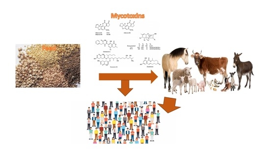 Toxins Free Full Text Prevalent Mycotoxins In Animal Feed Occurrence And Analytical Methods Html