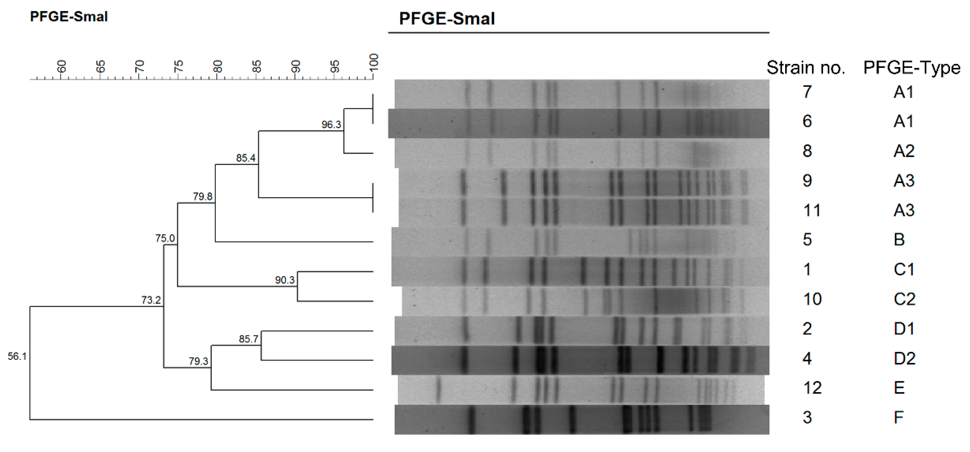 Toxins 11 00307 g001 550