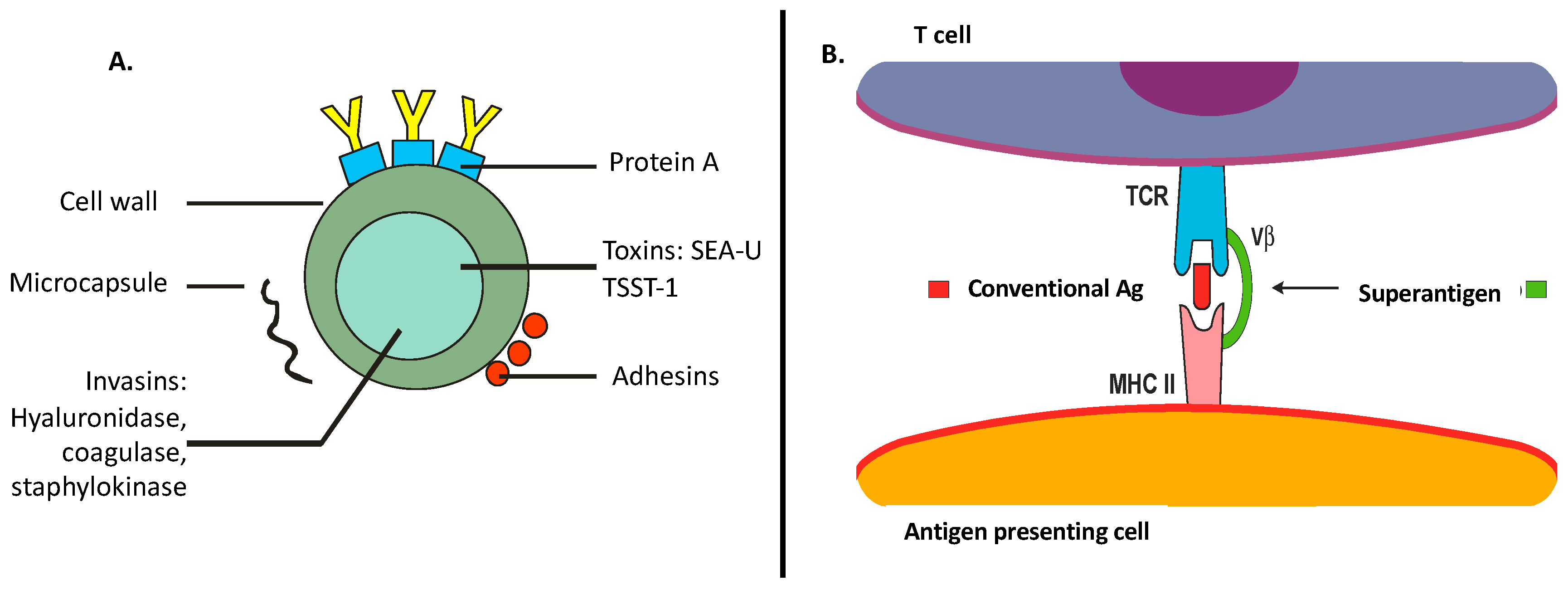 disease not caused by microbial protein toxin