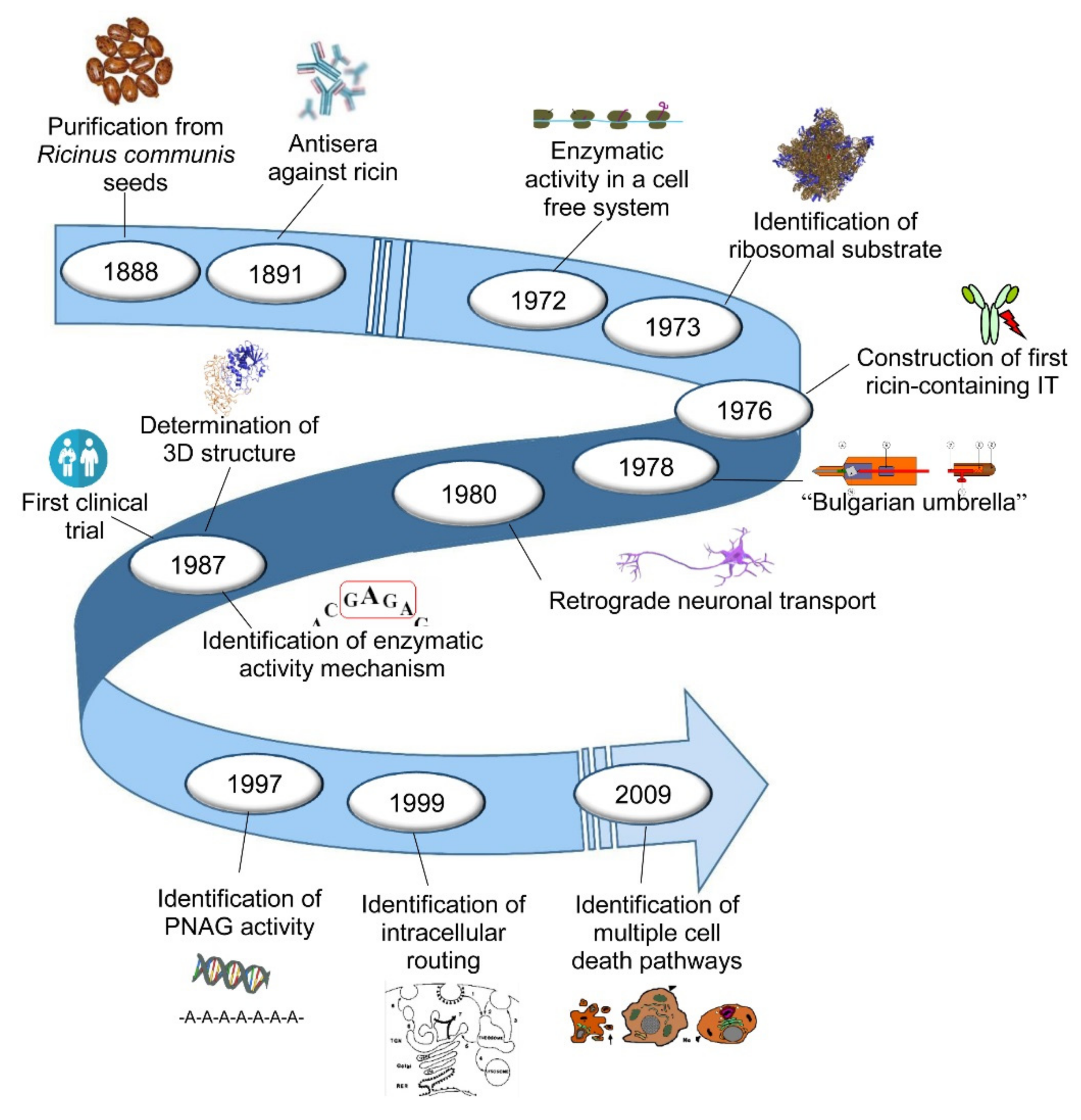 Toxins 11 00324 g001