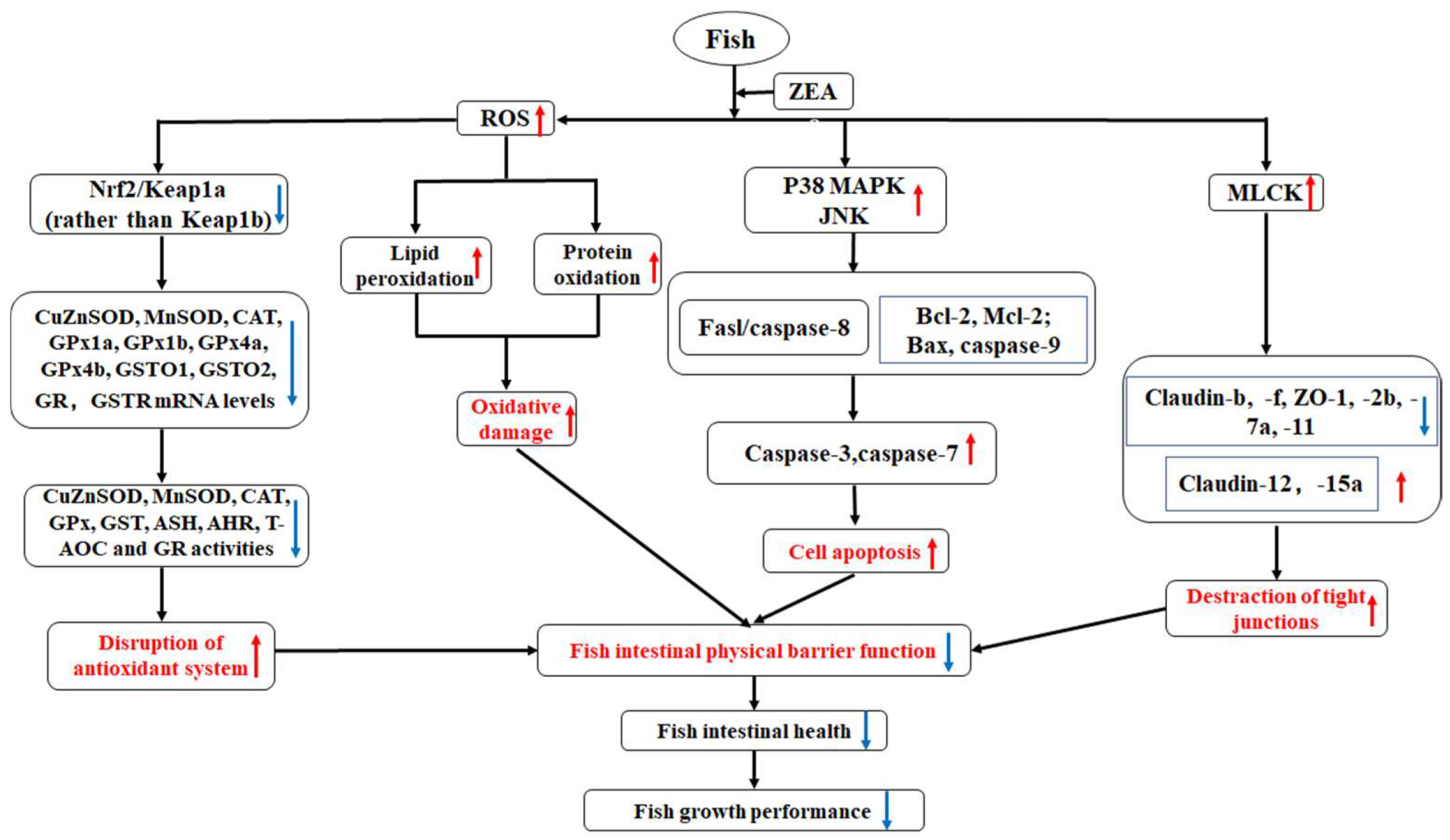 Toxins 11 00333 g009