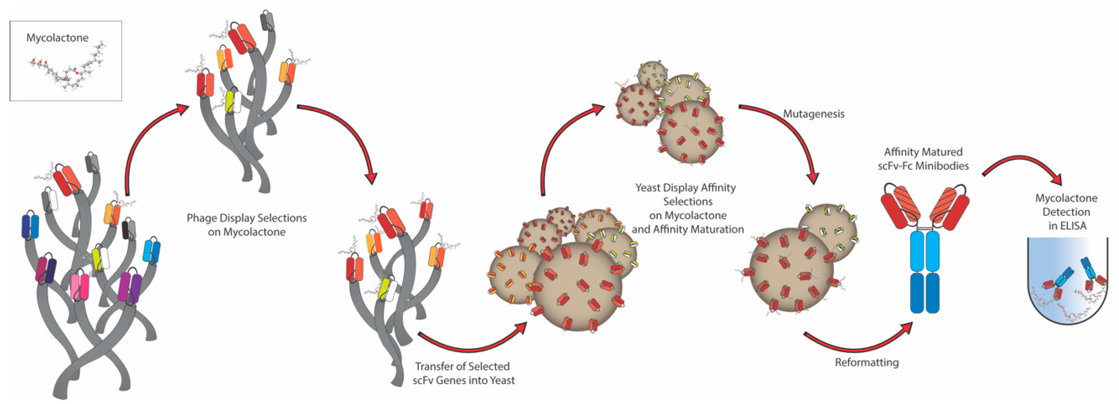 Toxins 11 00346 g001 Toxins 11 00346 g001