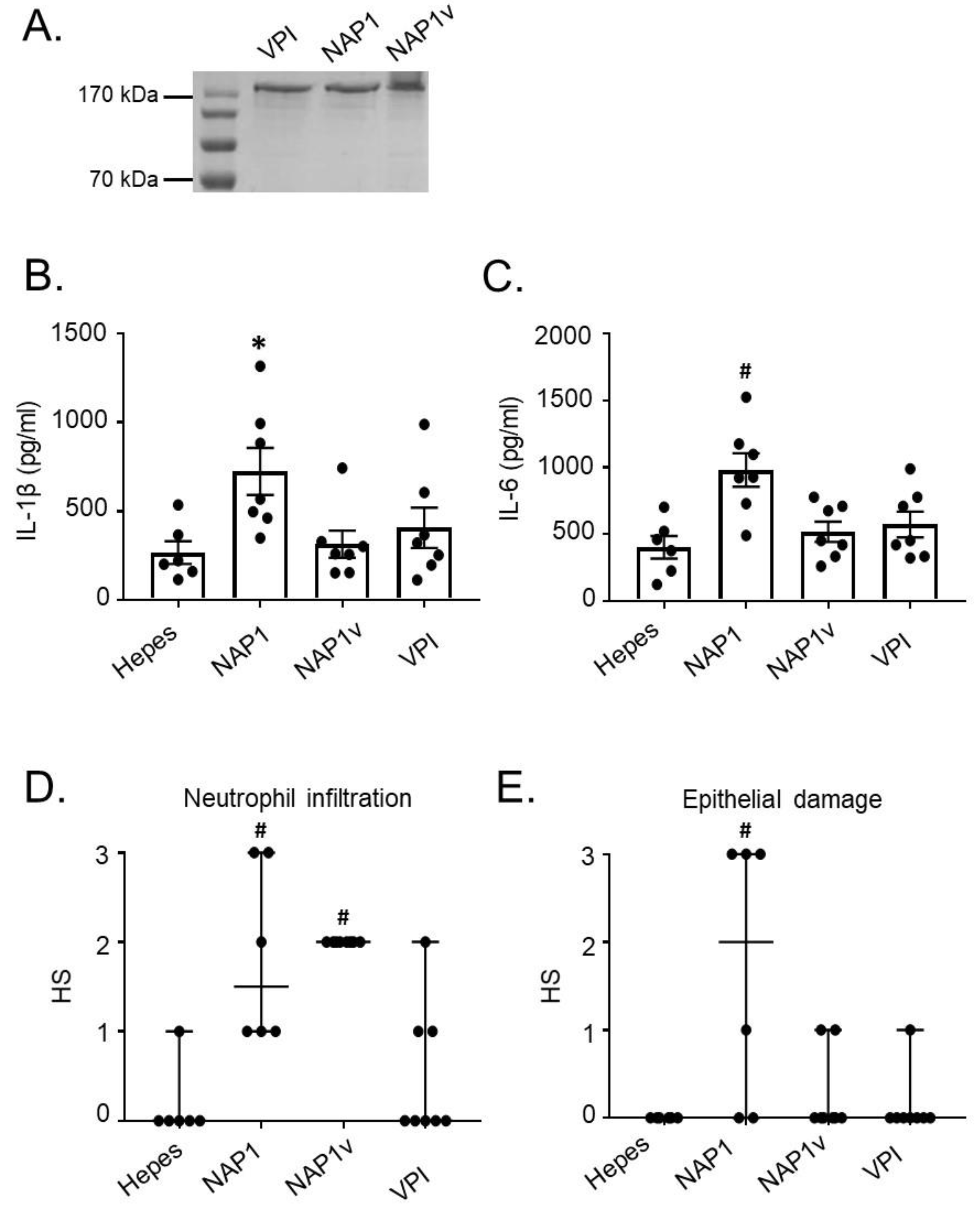 Toxins 11 00348 g001