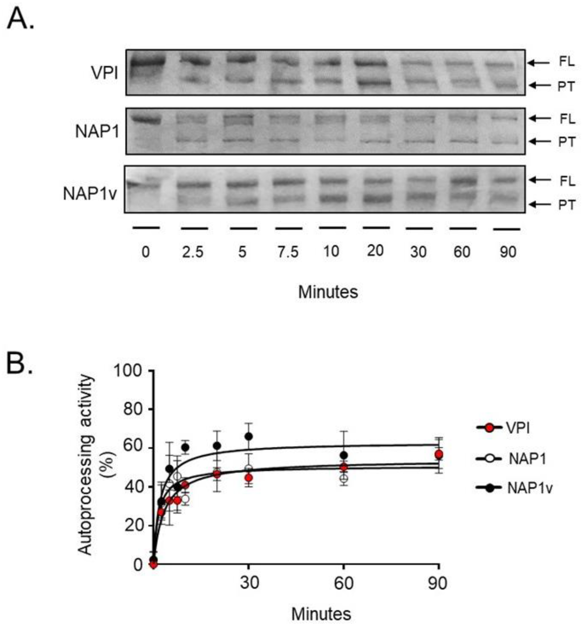 Toxins 11 00348 g004