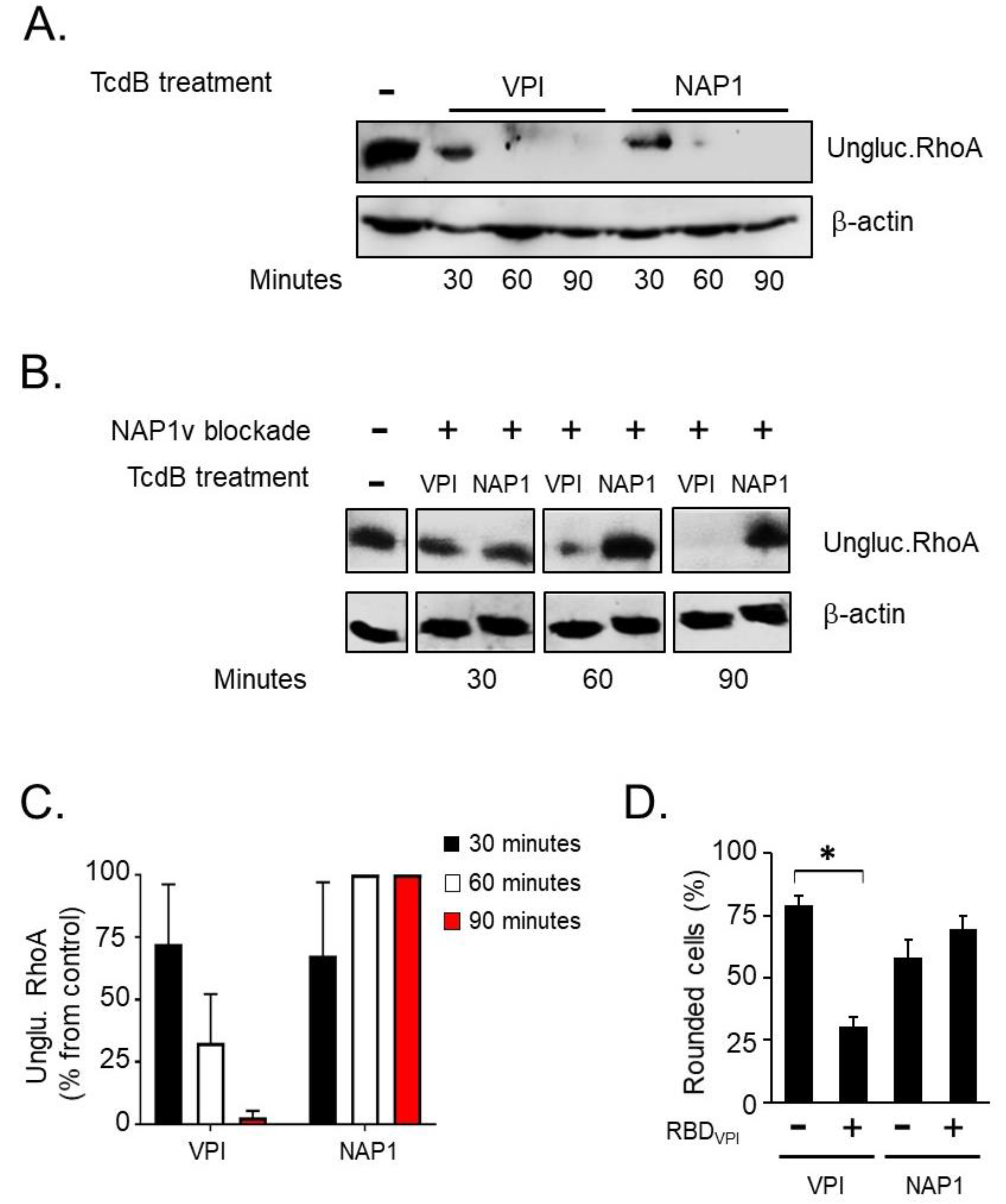 Toxins 11 00348 g007