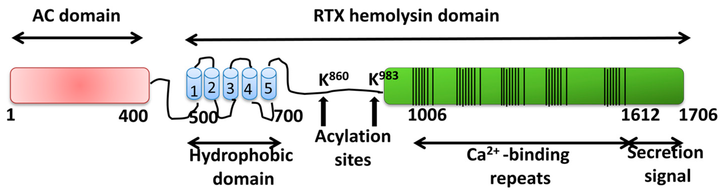 Toxins 11 00354 g003