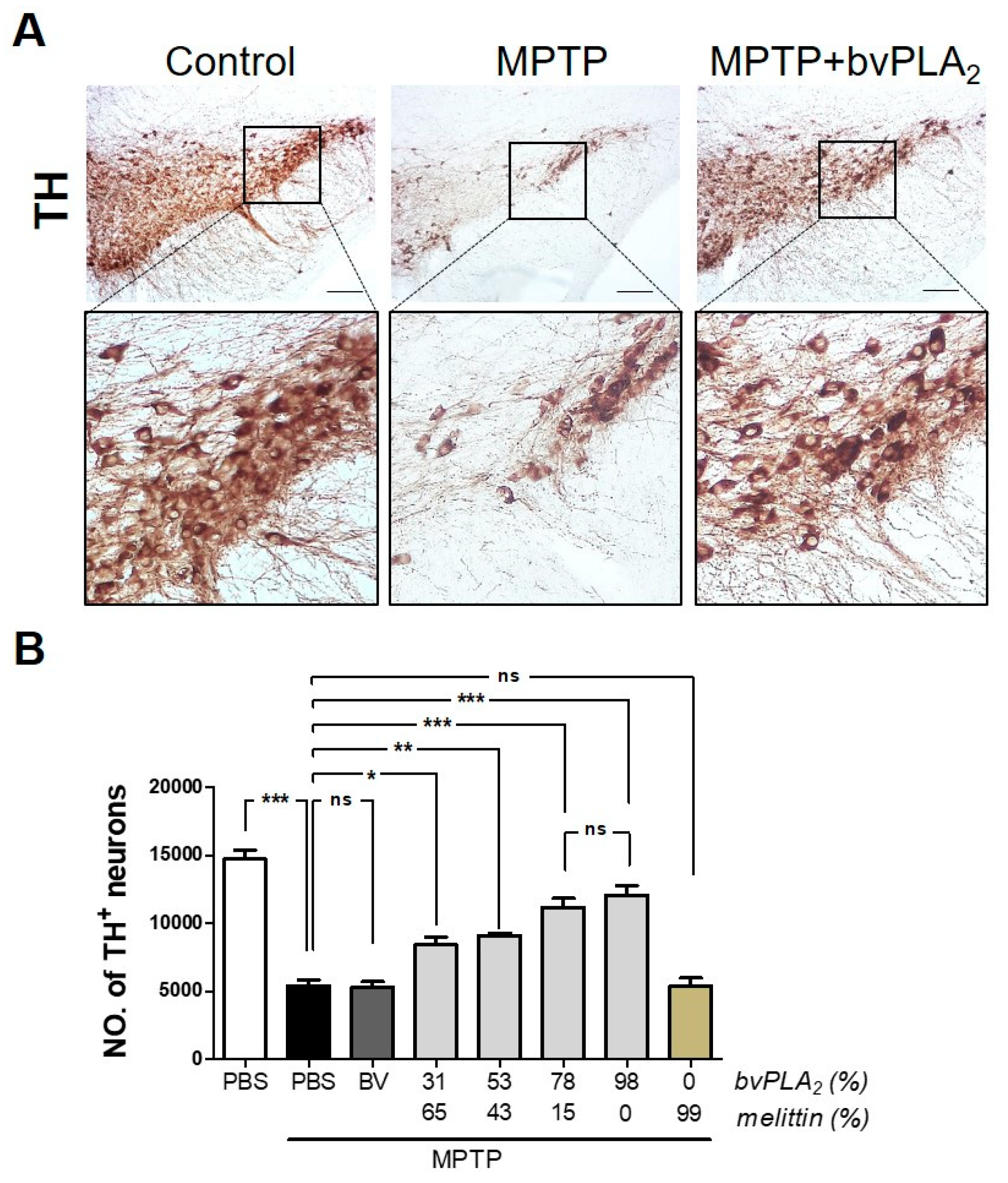 Toxins 11 00358 g003