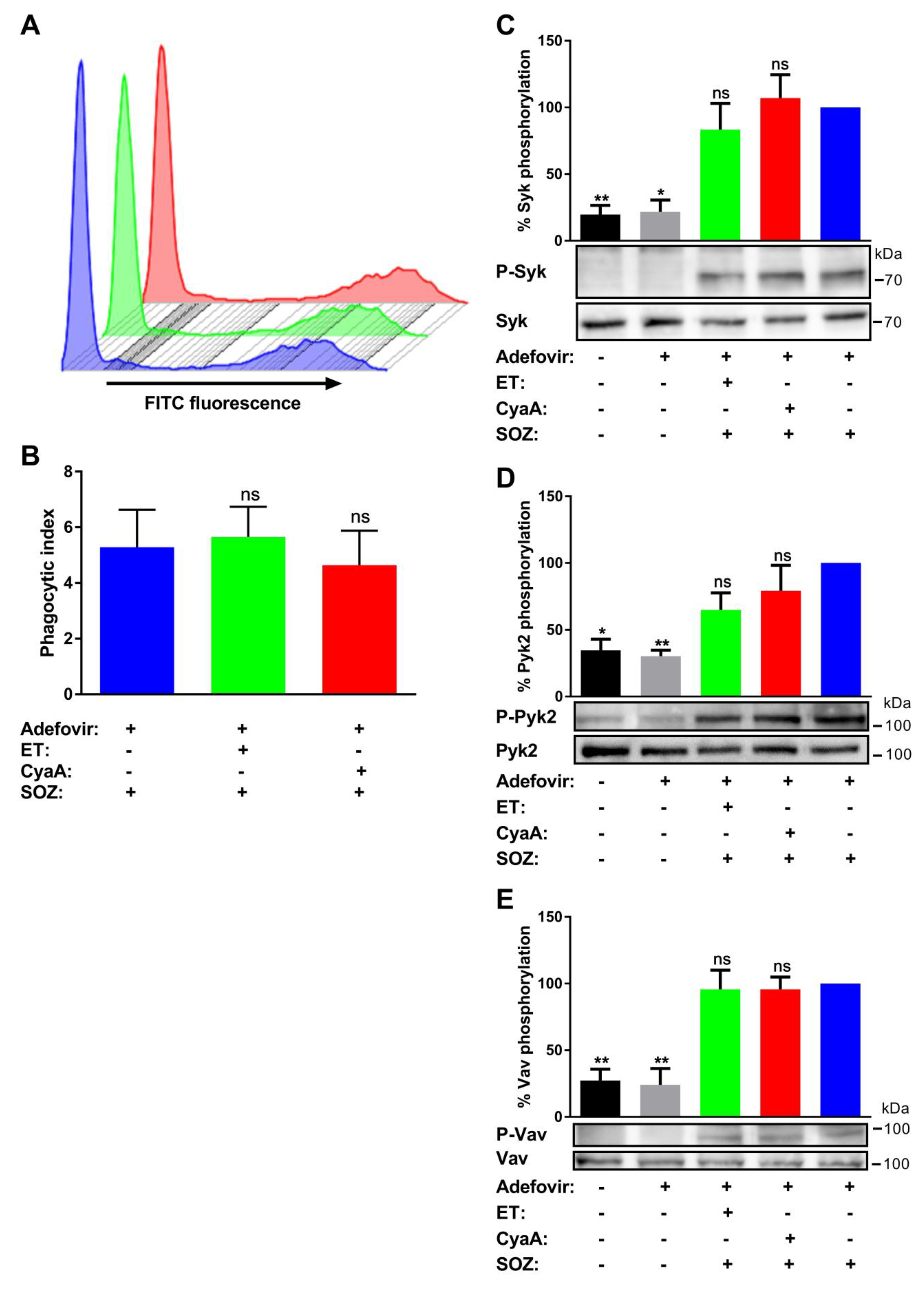 Toxins 11 00362 g003 Toxins 11 00362 g003