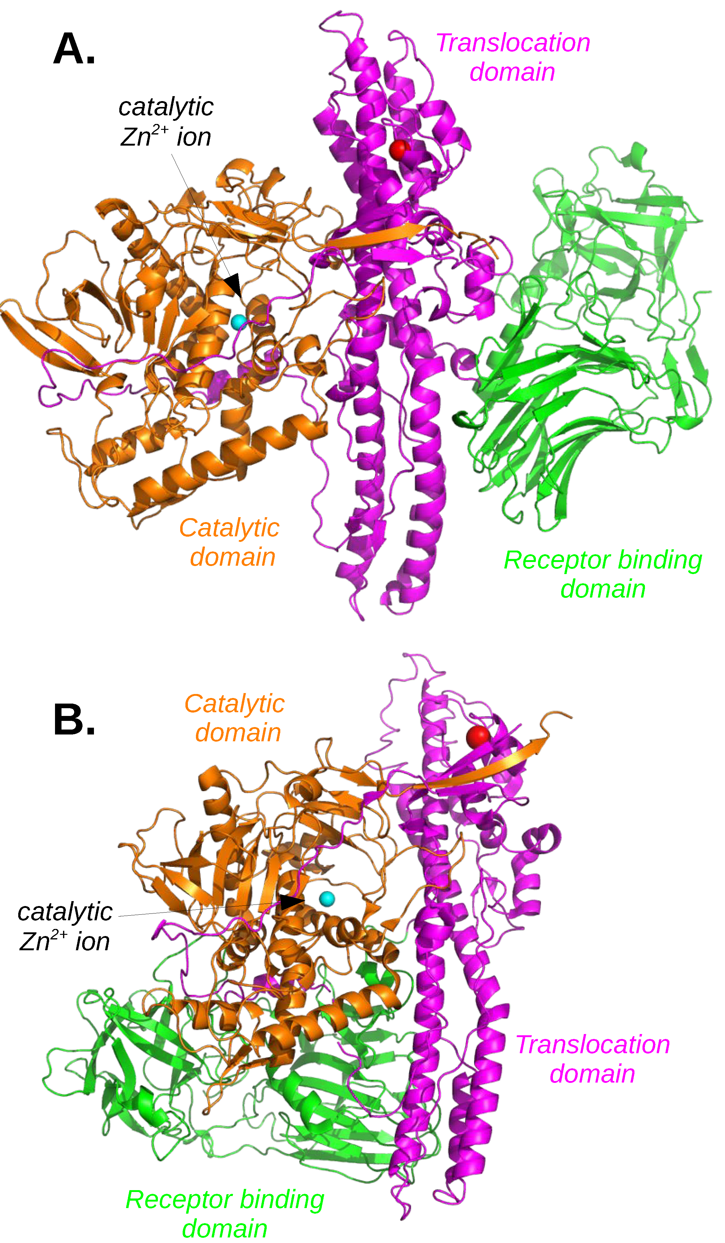 Toxins 11 00369 g002
