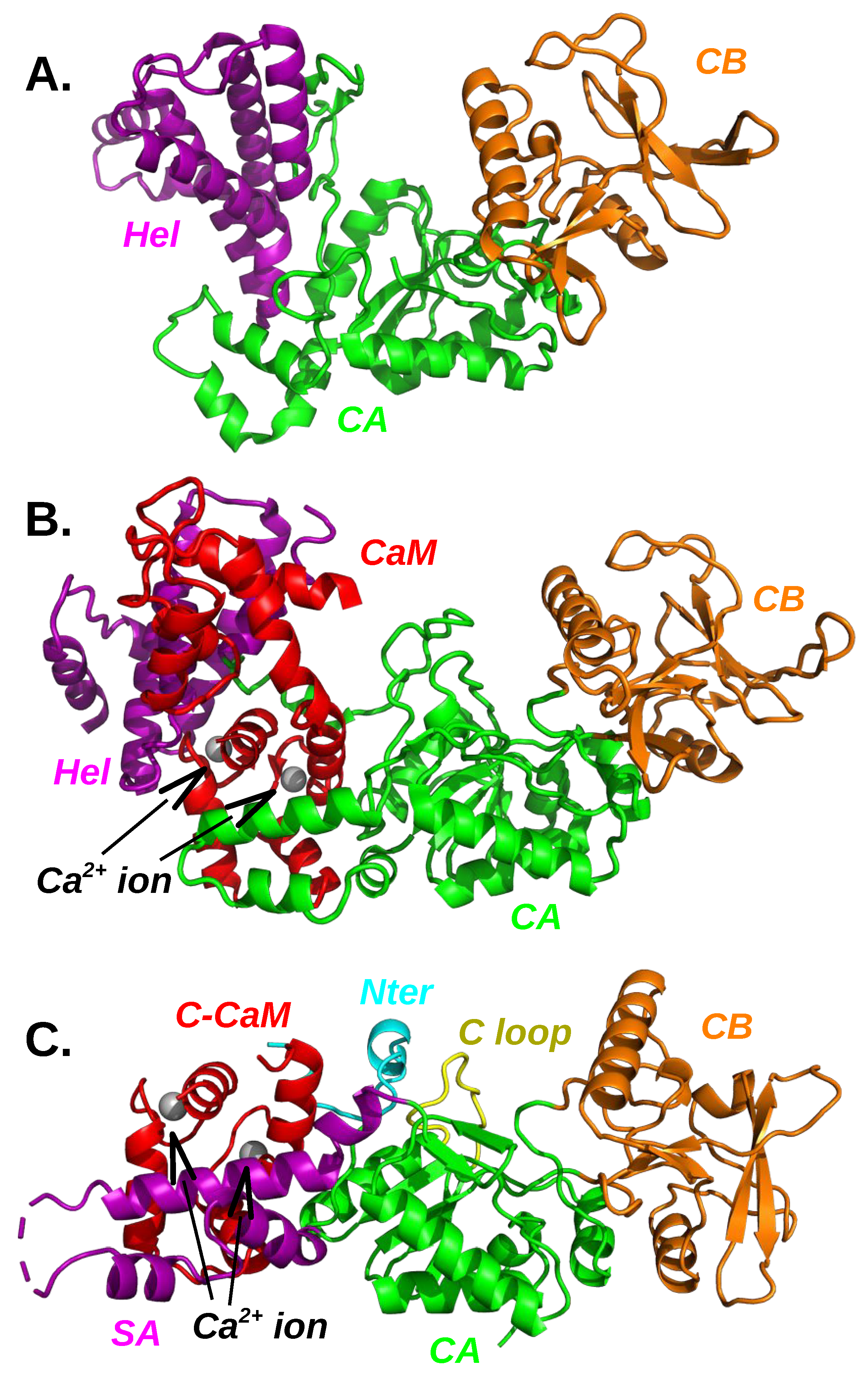 Toxins 11 00369 g003
