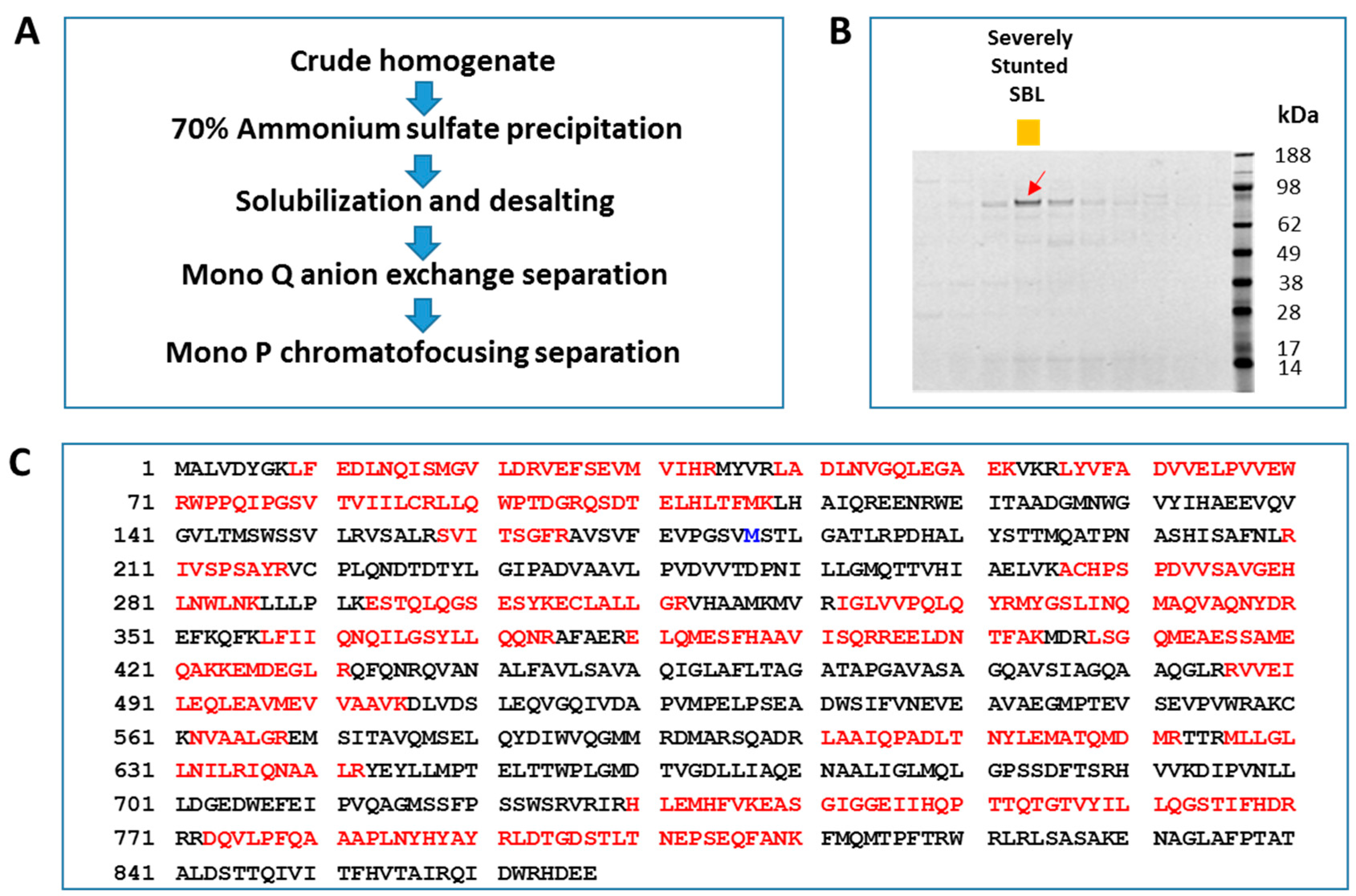 Enzyme Purification Chart