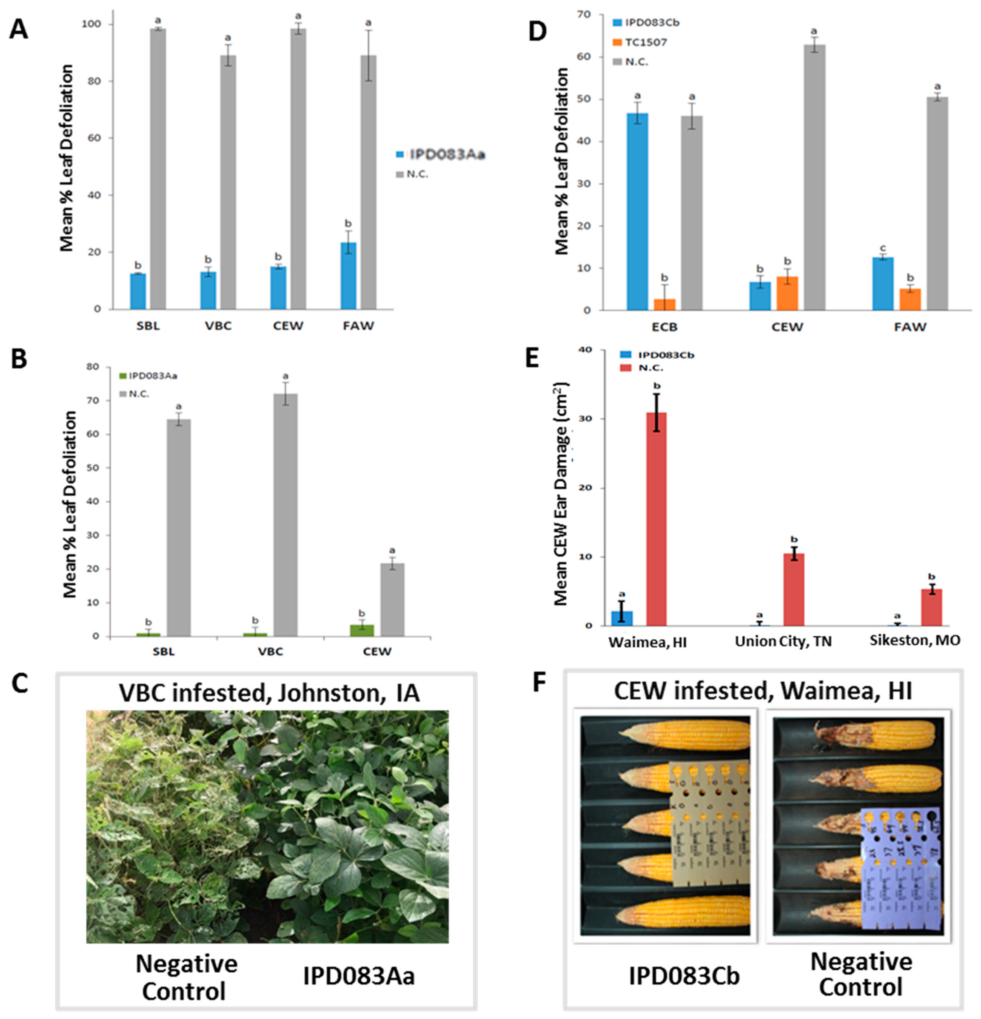Toxins Free Full Text Identification And Evaluations Of Novel Insecticidal Proteins From Plants Of The Class Polypodiopsida For Crop Protection Against Key Lepidopteran Pests Html