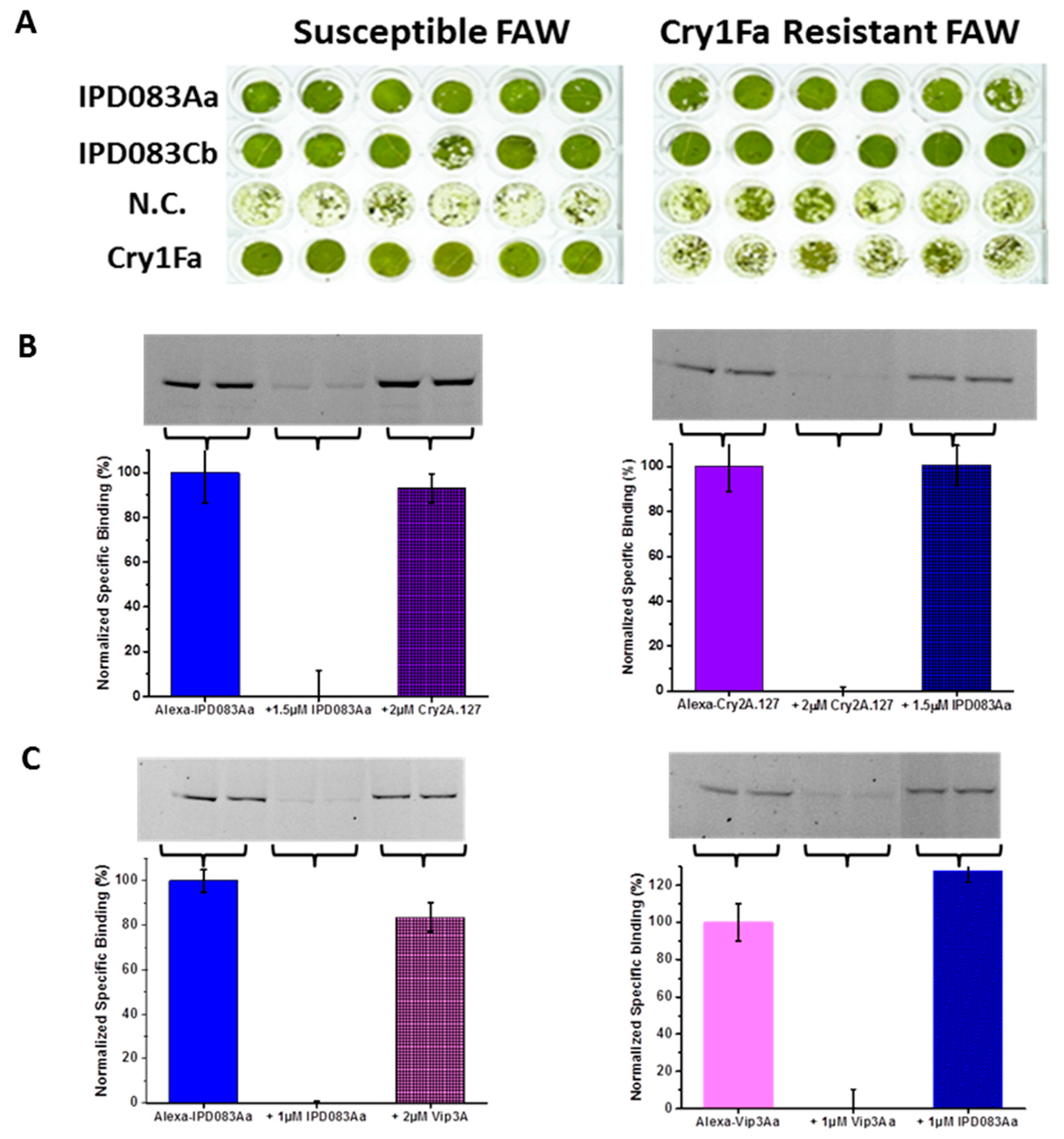 Toxins 11 00383 g008