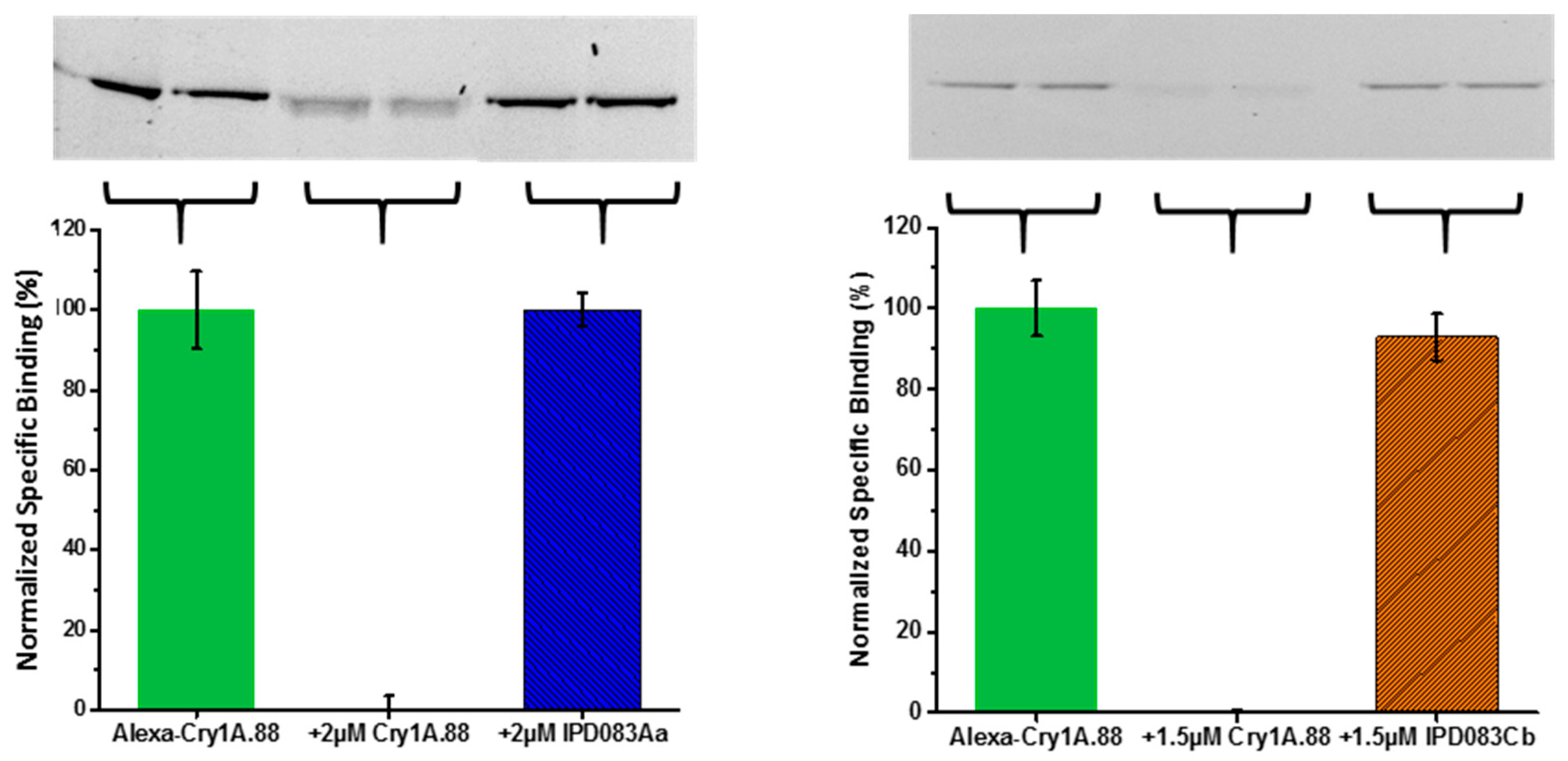Toxins 11 00383 g009