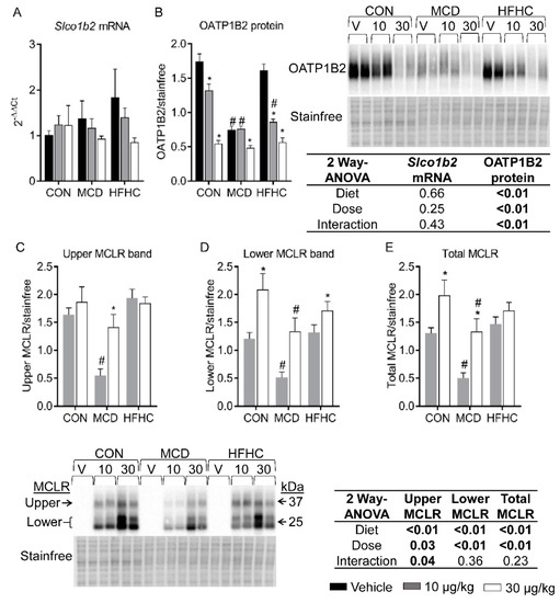Sub-Chronic Microcystin-LR Liver Toxicity in Preexisting