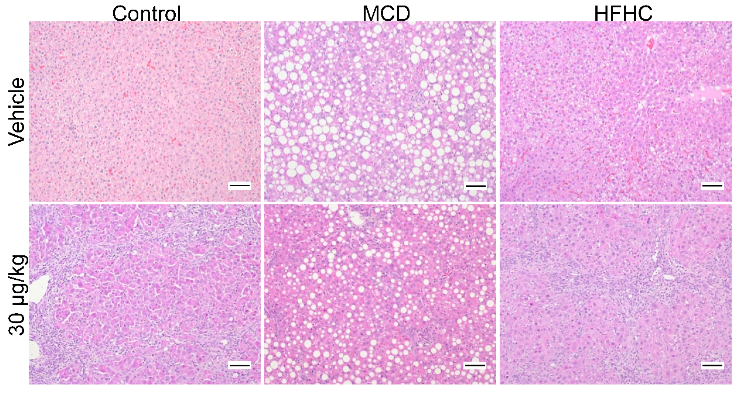 Toxins 11 00398 g002