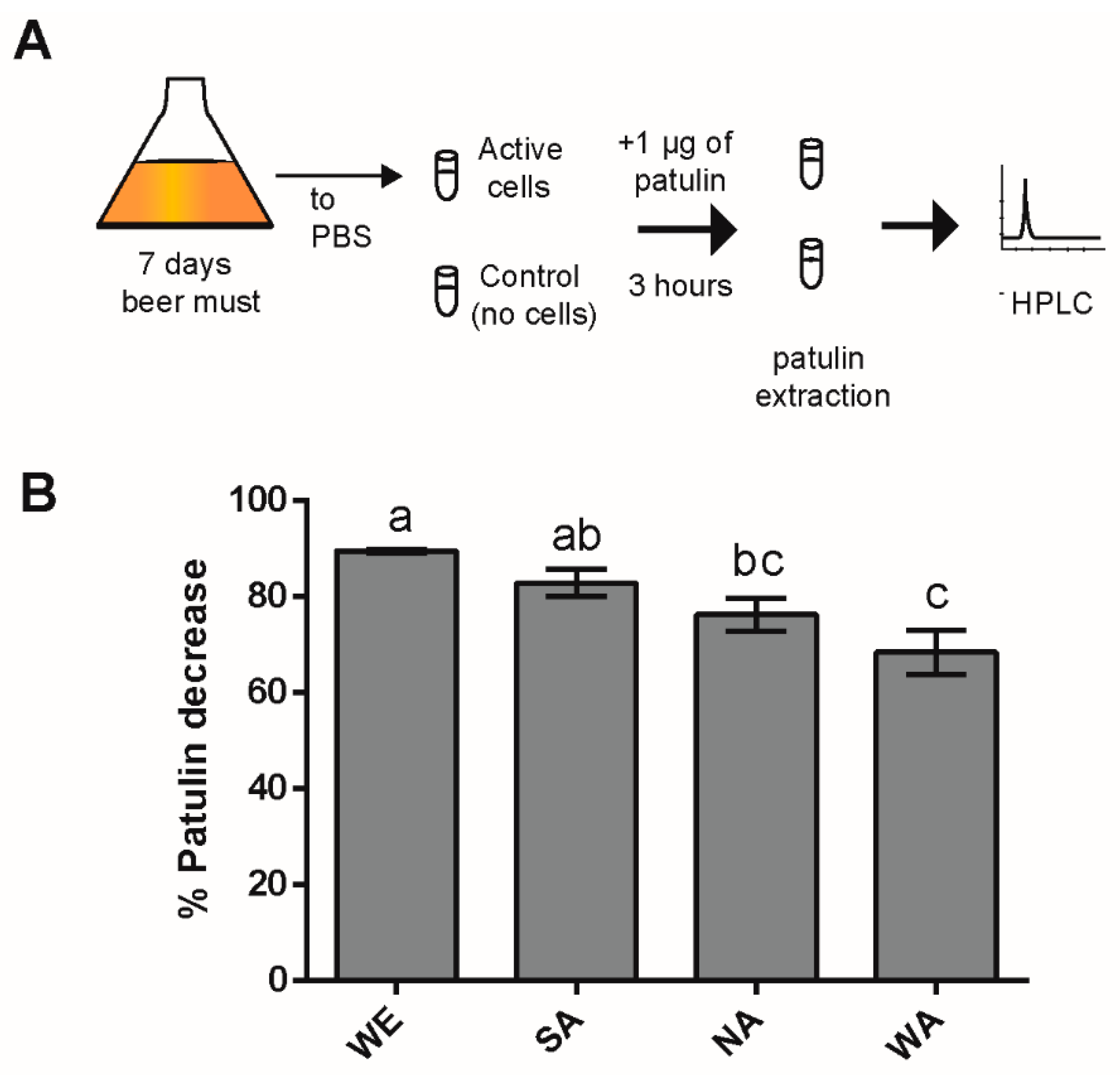 | Saccharomyces Biosorption Toxin in in Distinct Patulin to Changes Differences Transcriptional | Free cerevisiae Toxins Full-Text Underlie Response