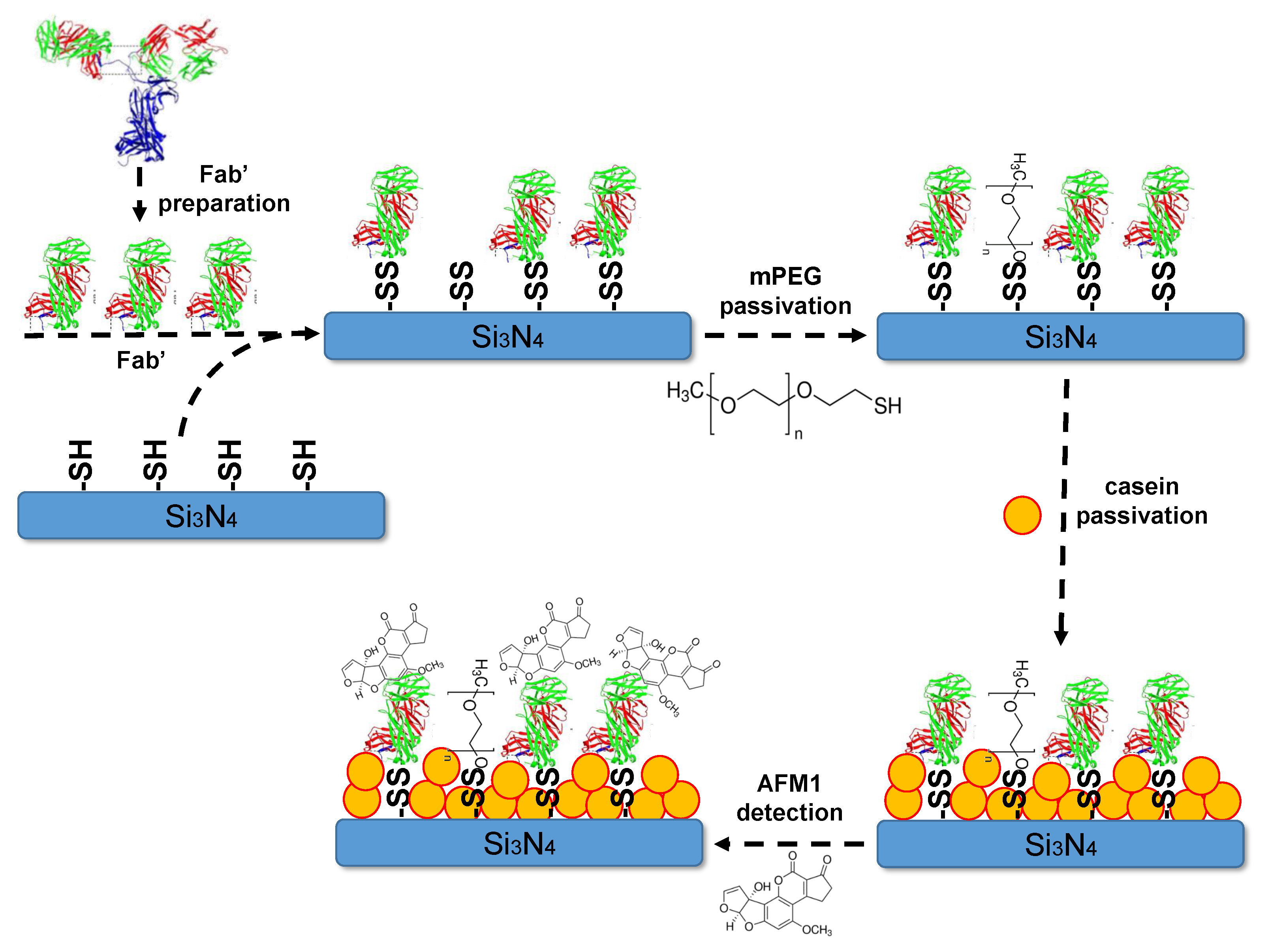 Toxins 11 00409 g002