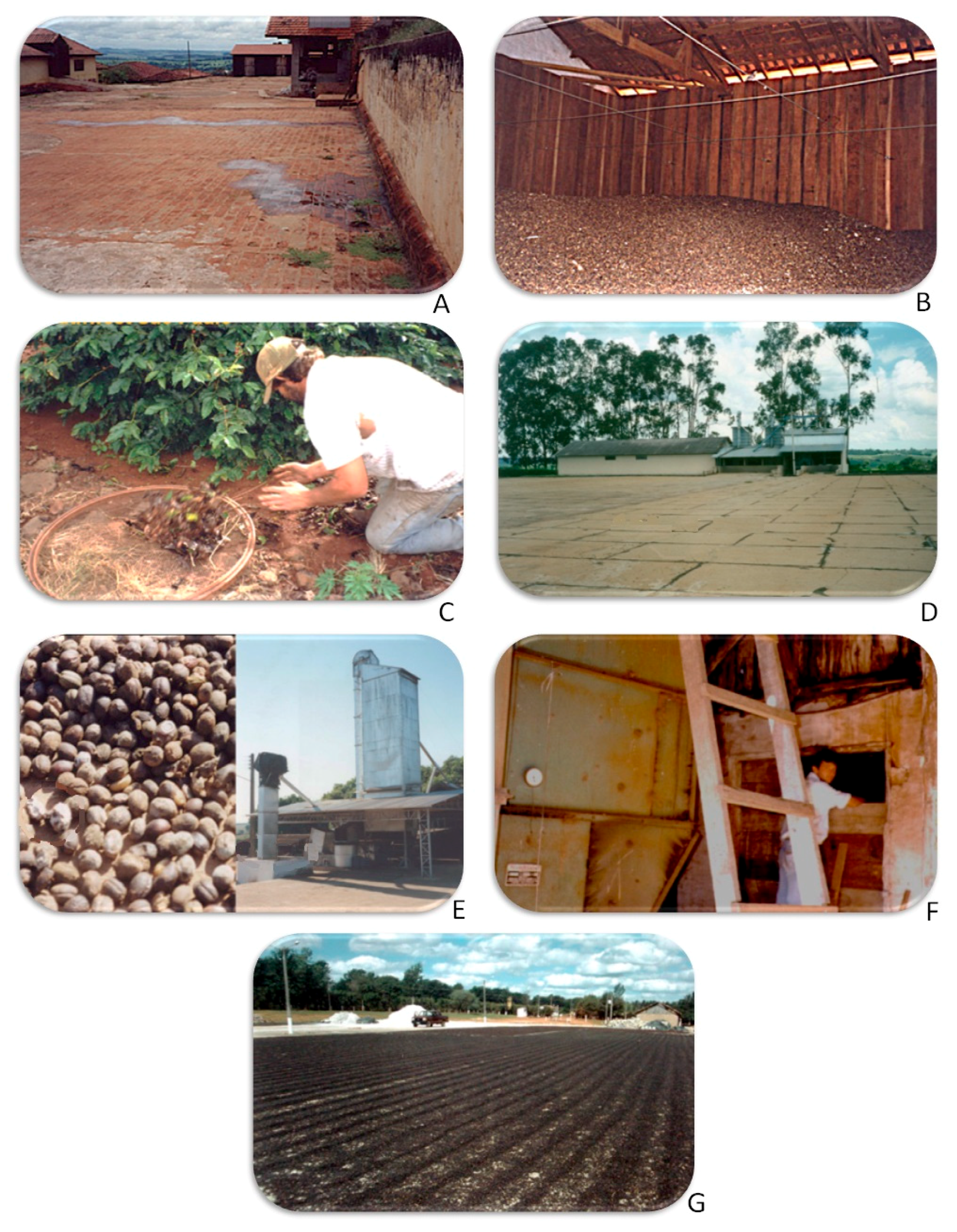 Toxins 11 00411 g002