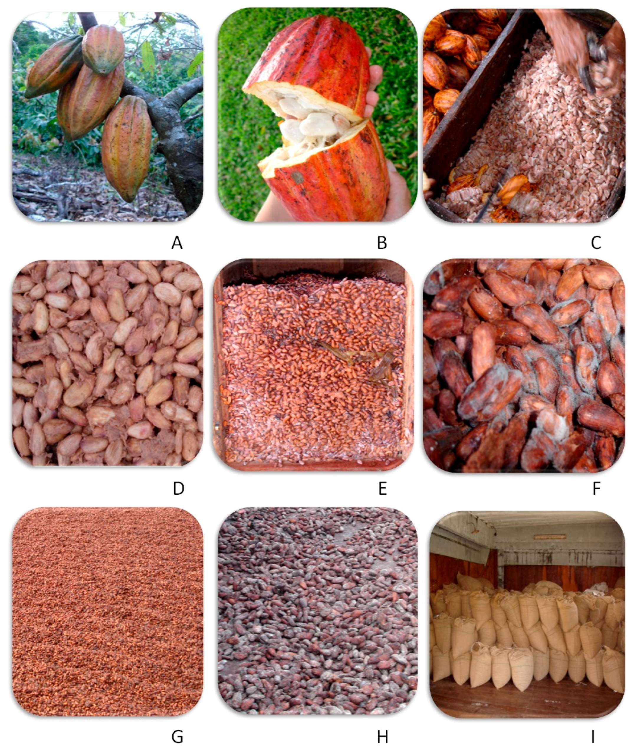 Toxins 11 00411 g003