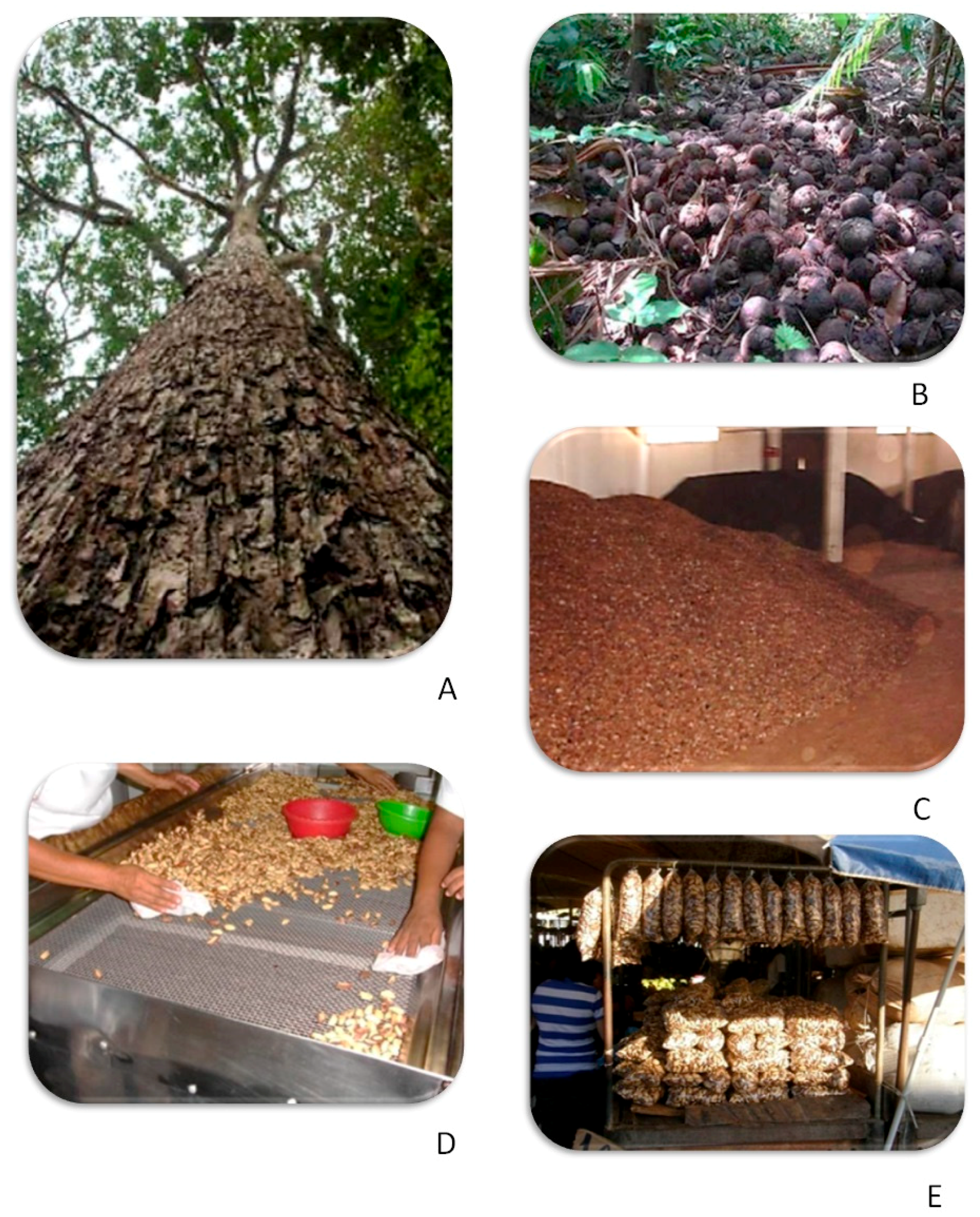 Toxins 11 00411 g004