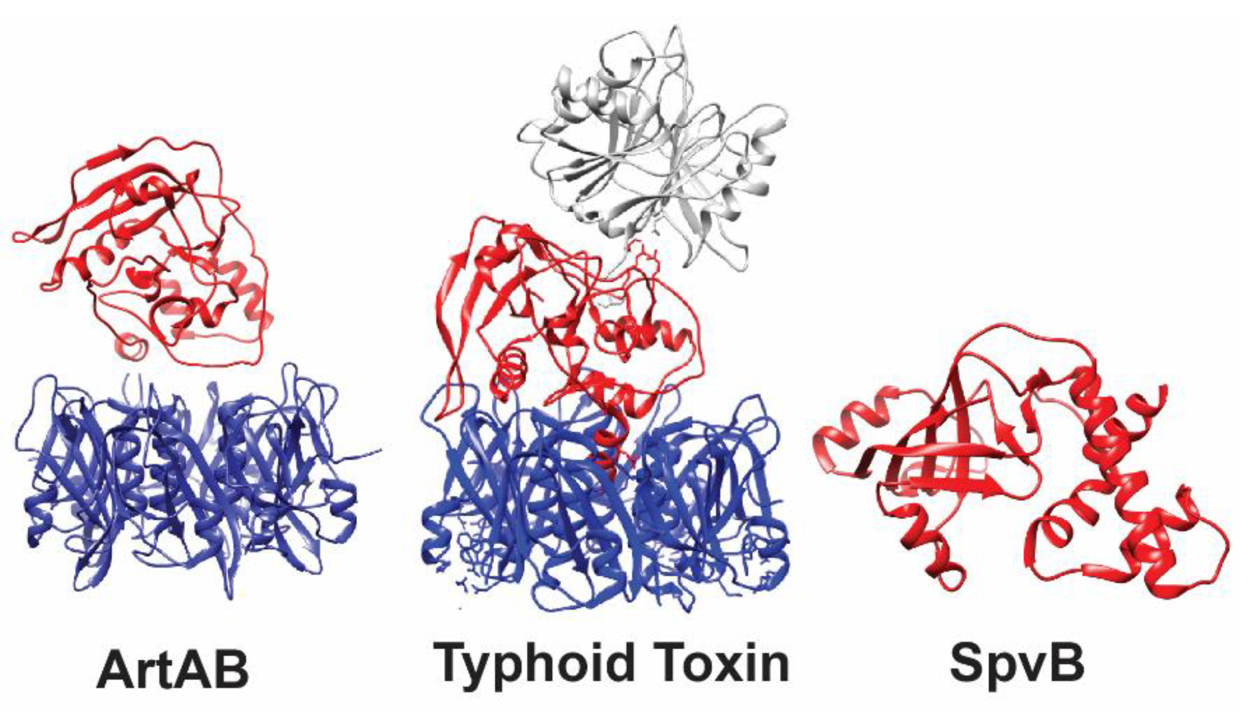 Toxins 11 00416 g002