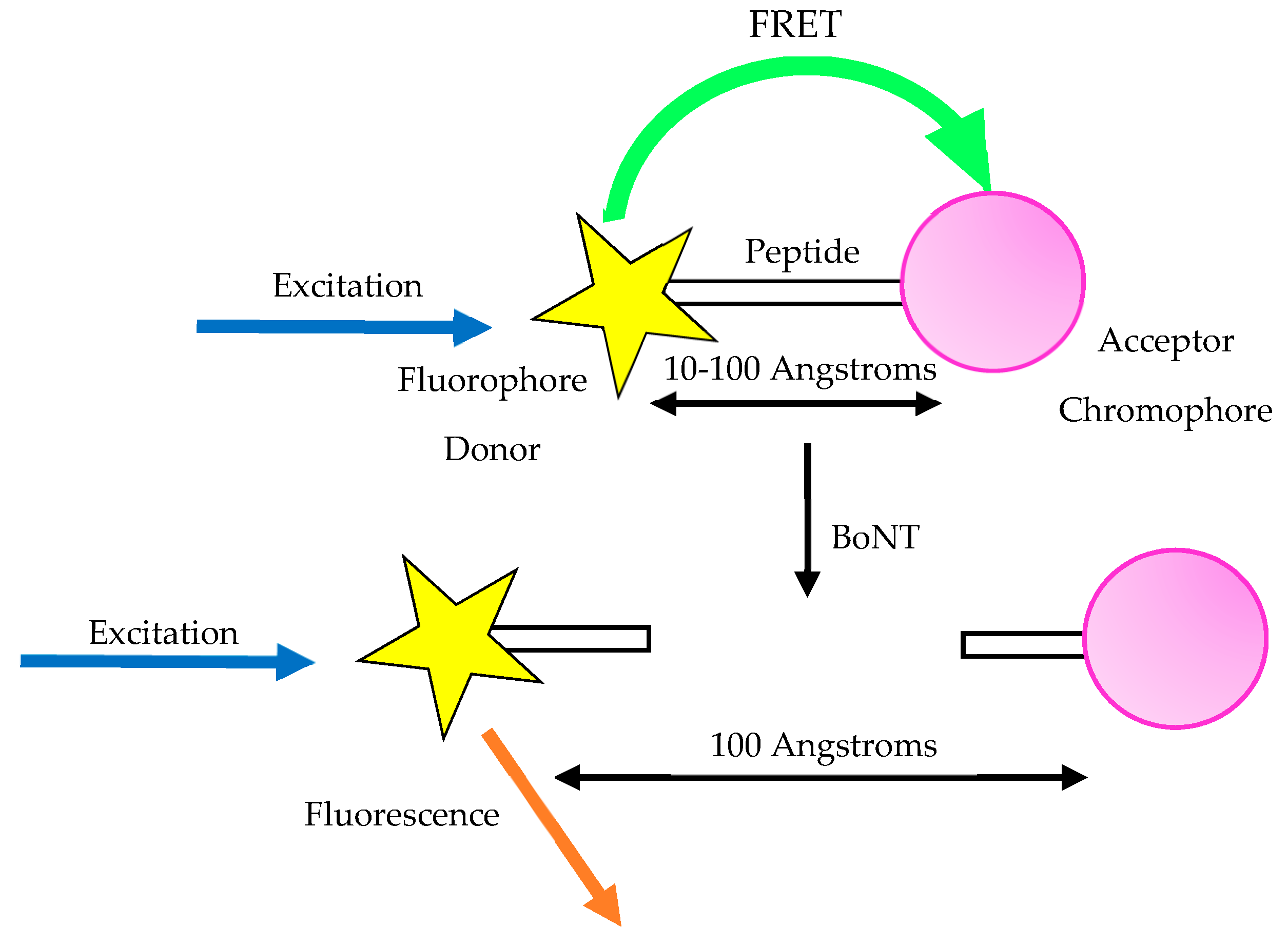 Toxins 11 00418 g004
